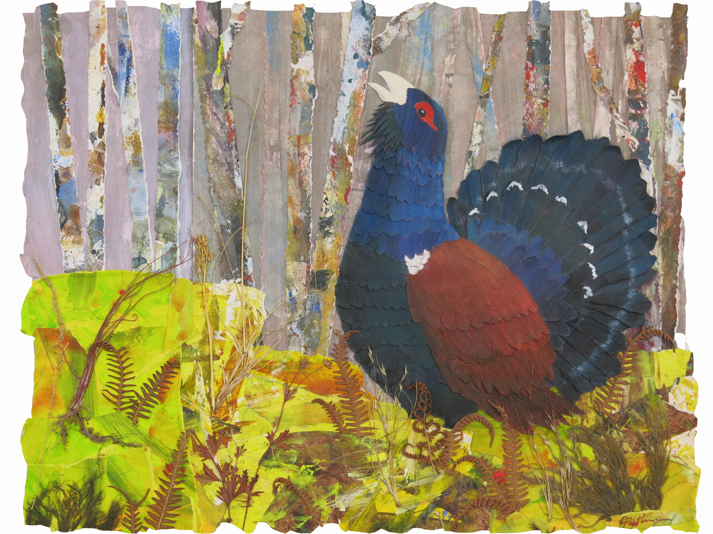 2c Capercaillie - 1 of 6 place mat and coaster designs for endangered species series.-1.jpg
