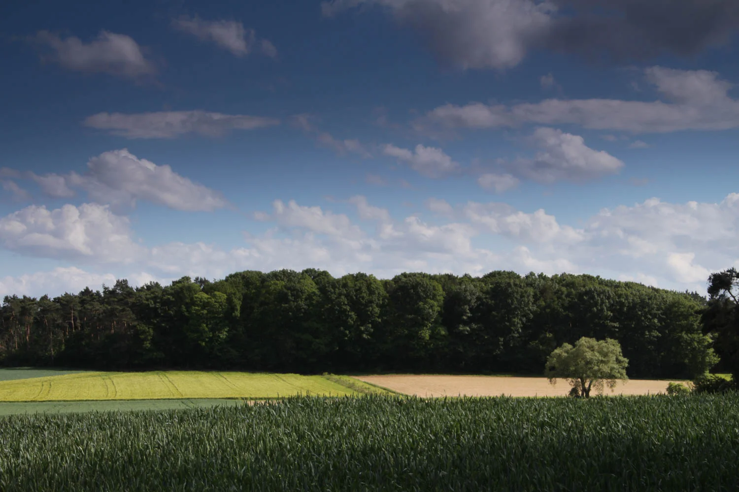 an vandeven - landschap