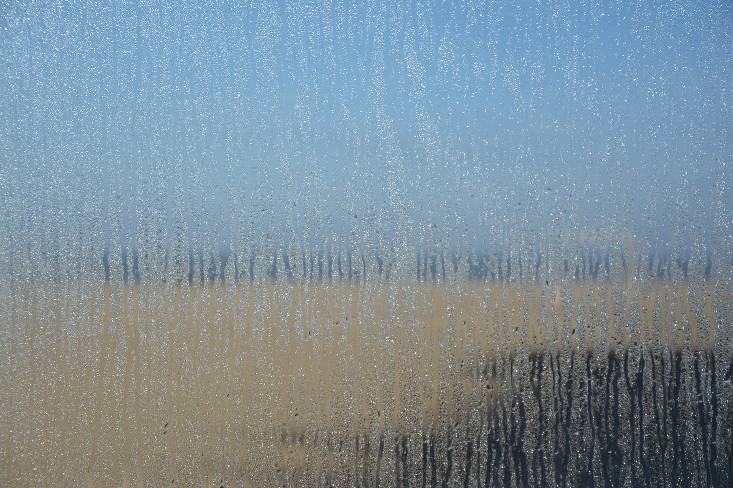 Jan Leys - licht