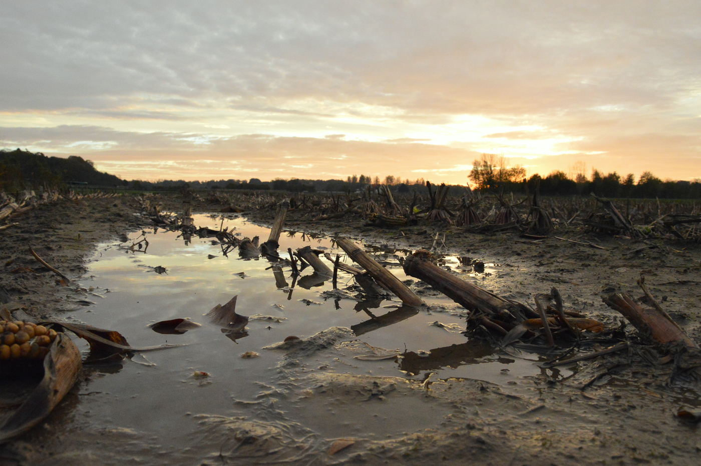 Els De Martelaer_Landschap