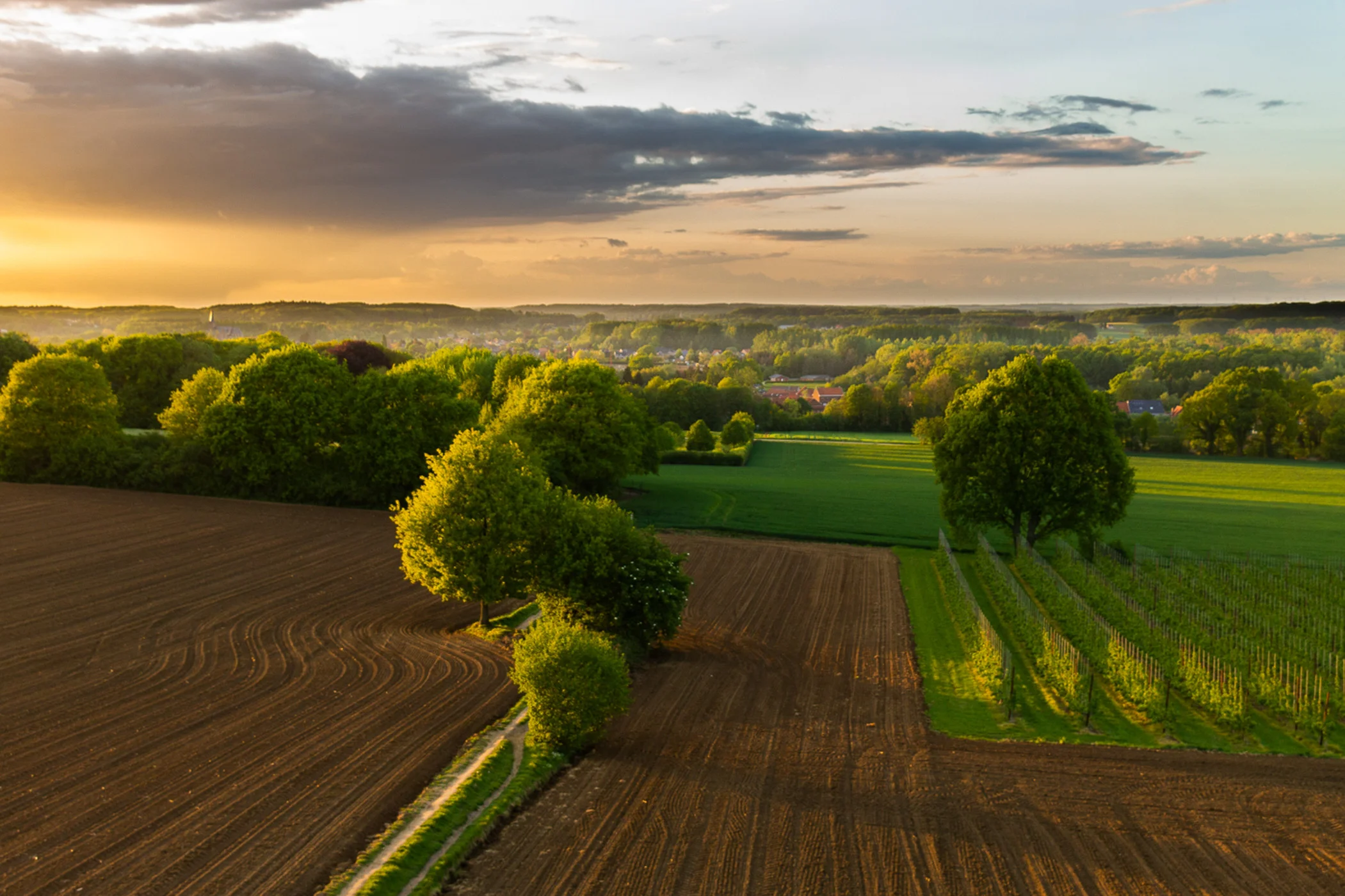 Dries Manshoven Bijnens -Landschap II