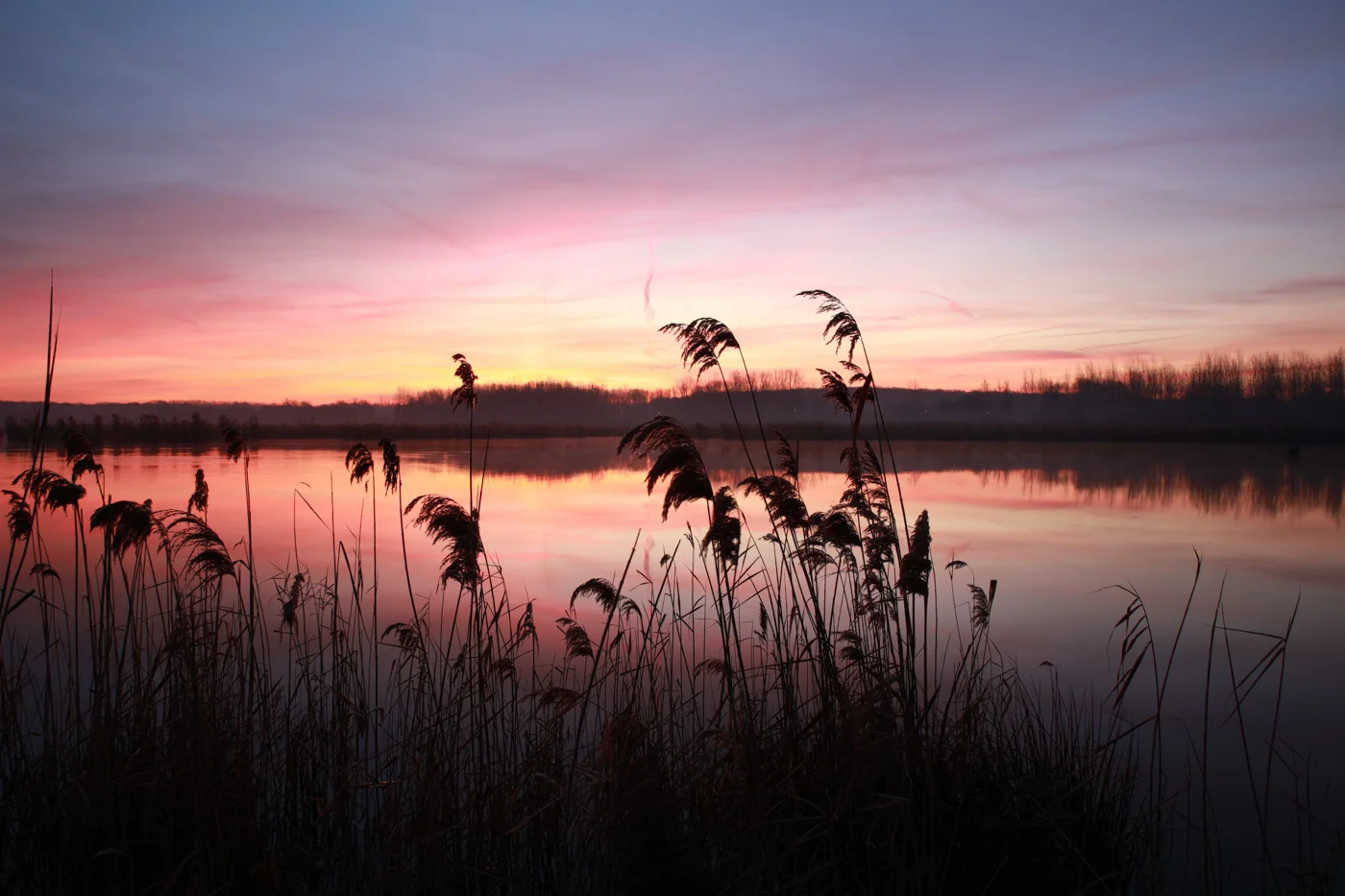 Bart Raison - landschap