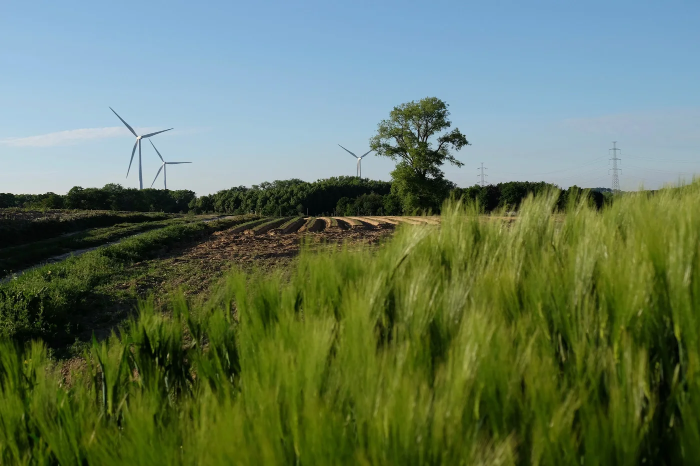 Merel Leyman - Landschap