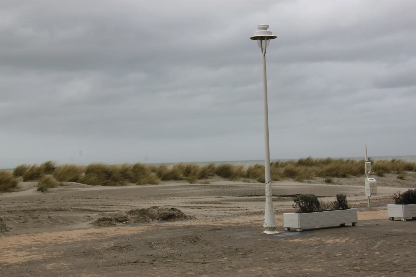 pascal vanalphen - landschap
