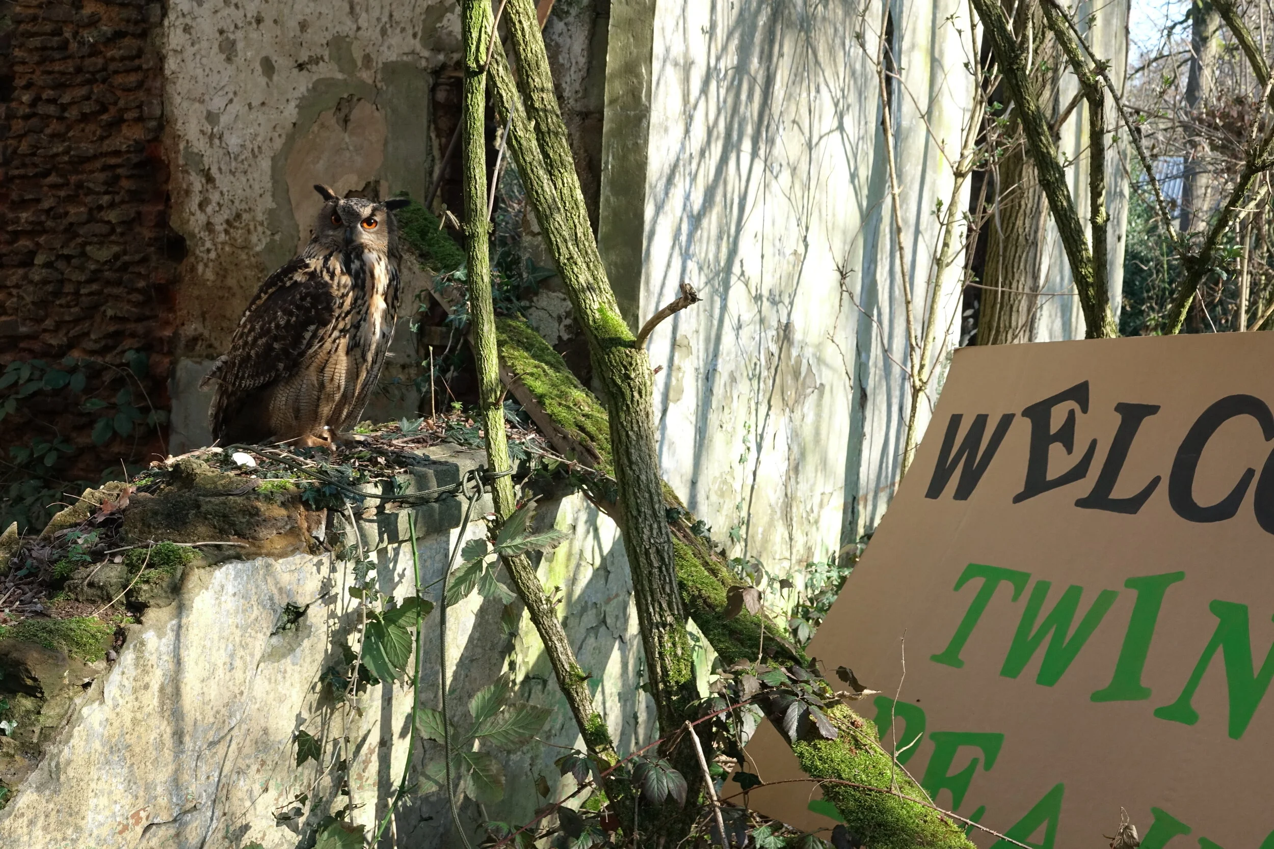 Greet Vanhout-Interpretatie