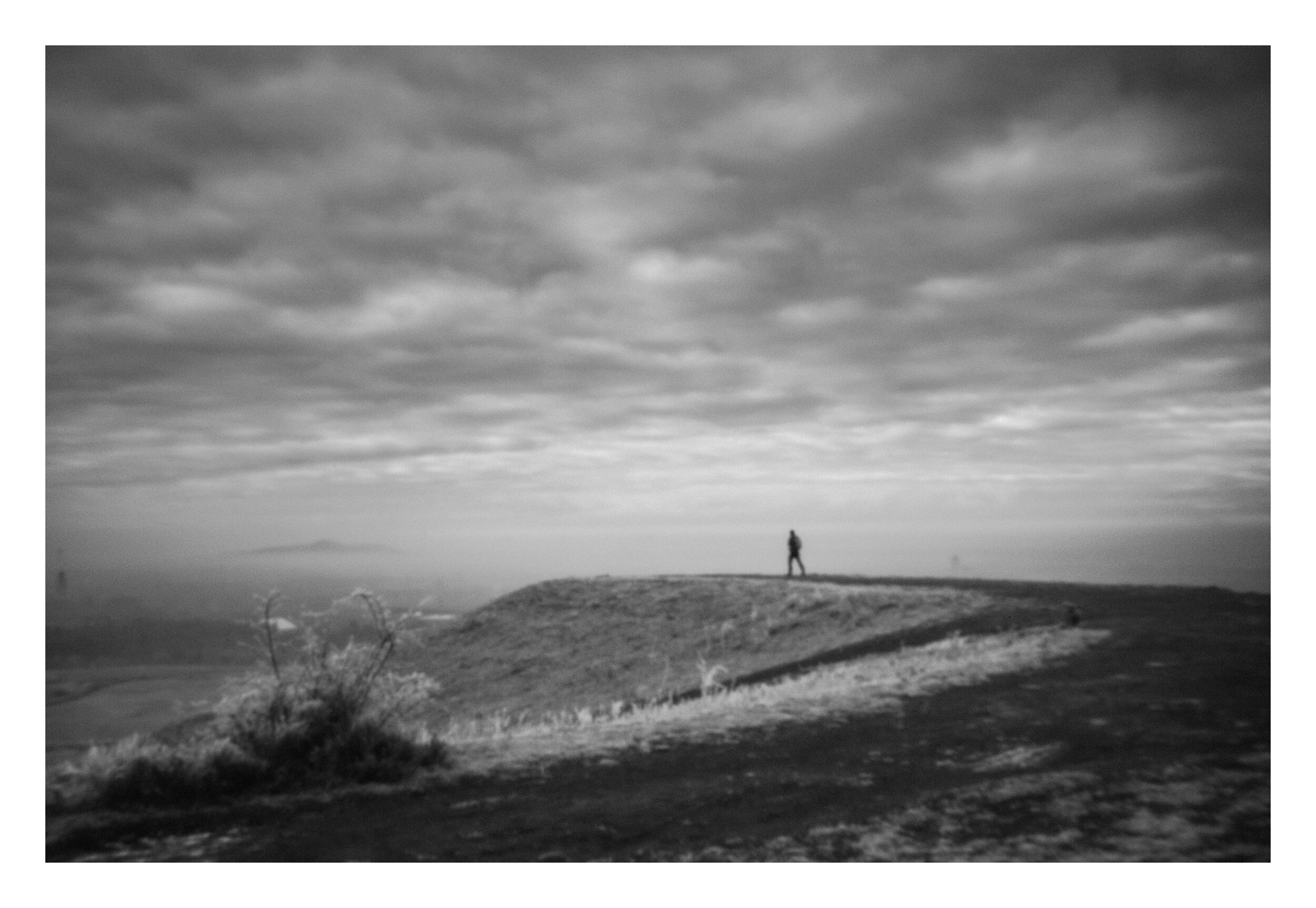 Hanneke Van Camp-Vrij werk