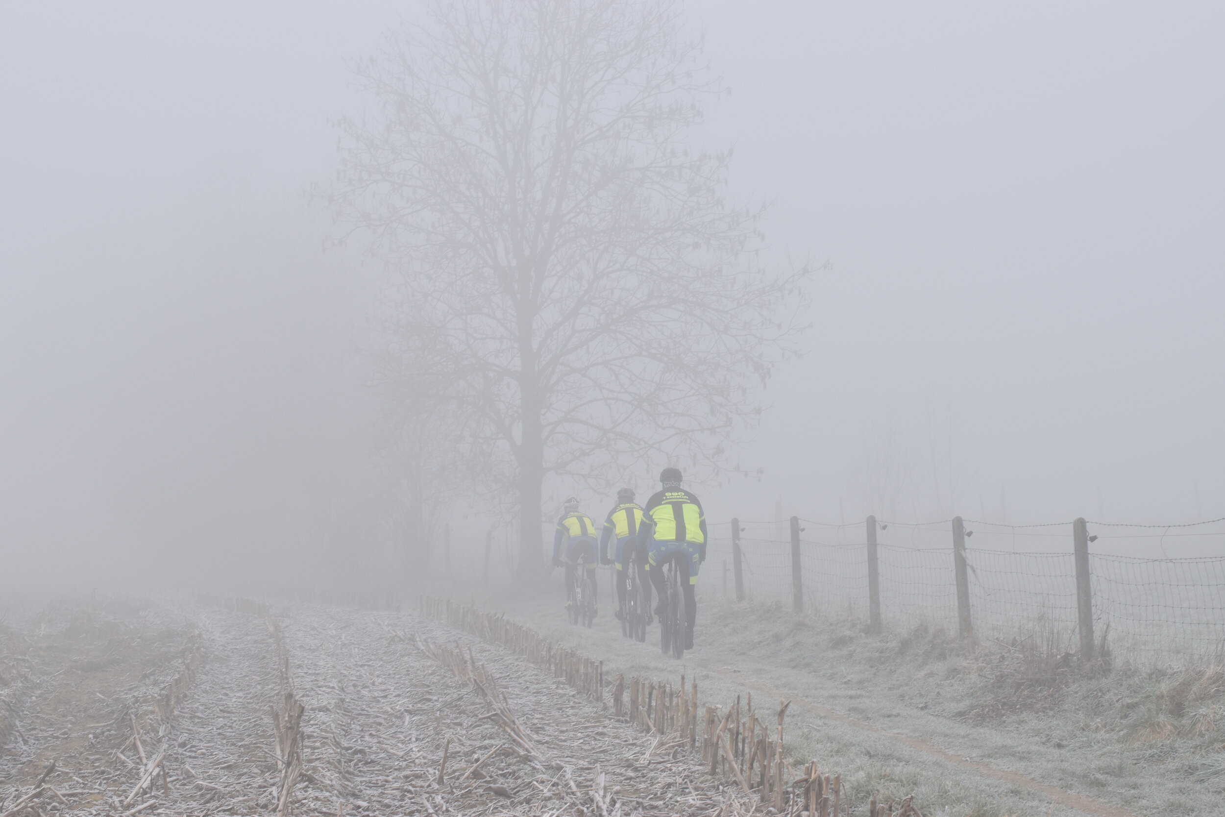 Elisabeth Dijkinga_Kleur3