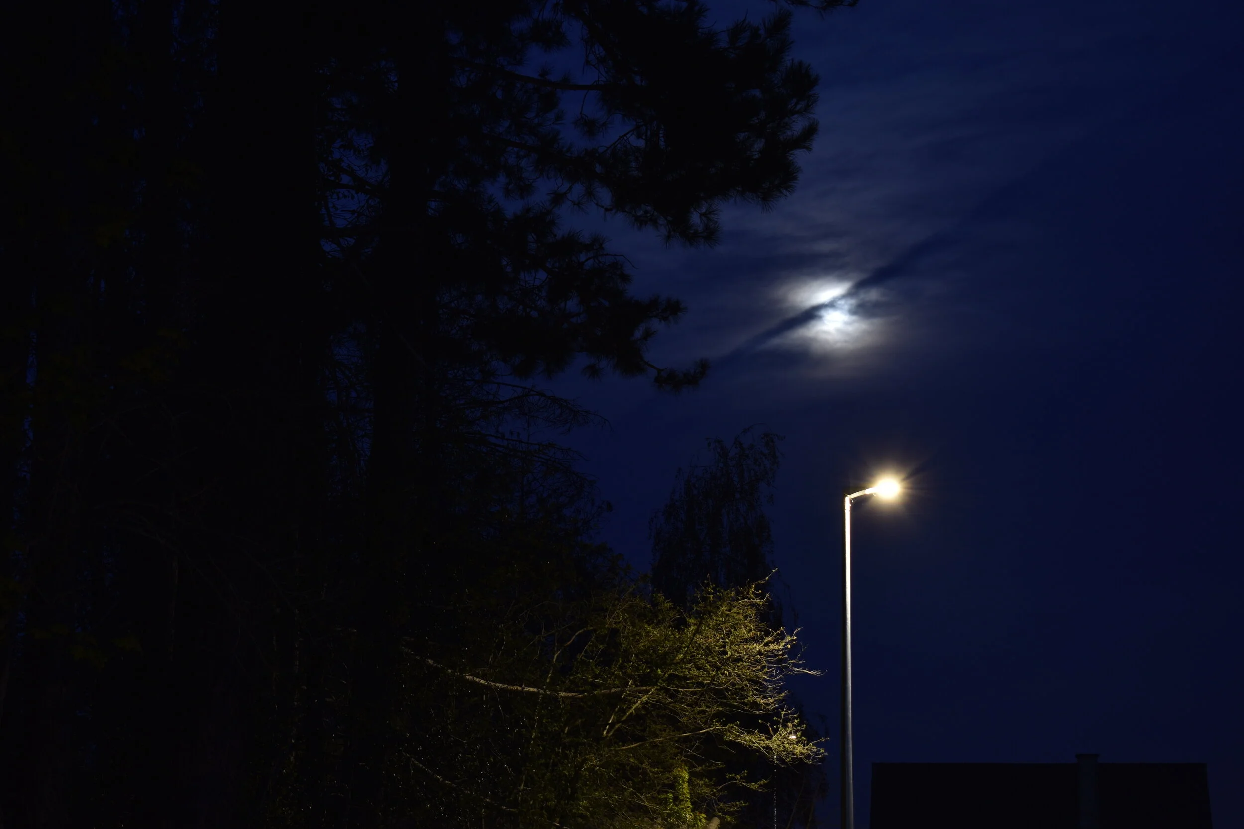 Griet Van Wesemael_Interpretatie2