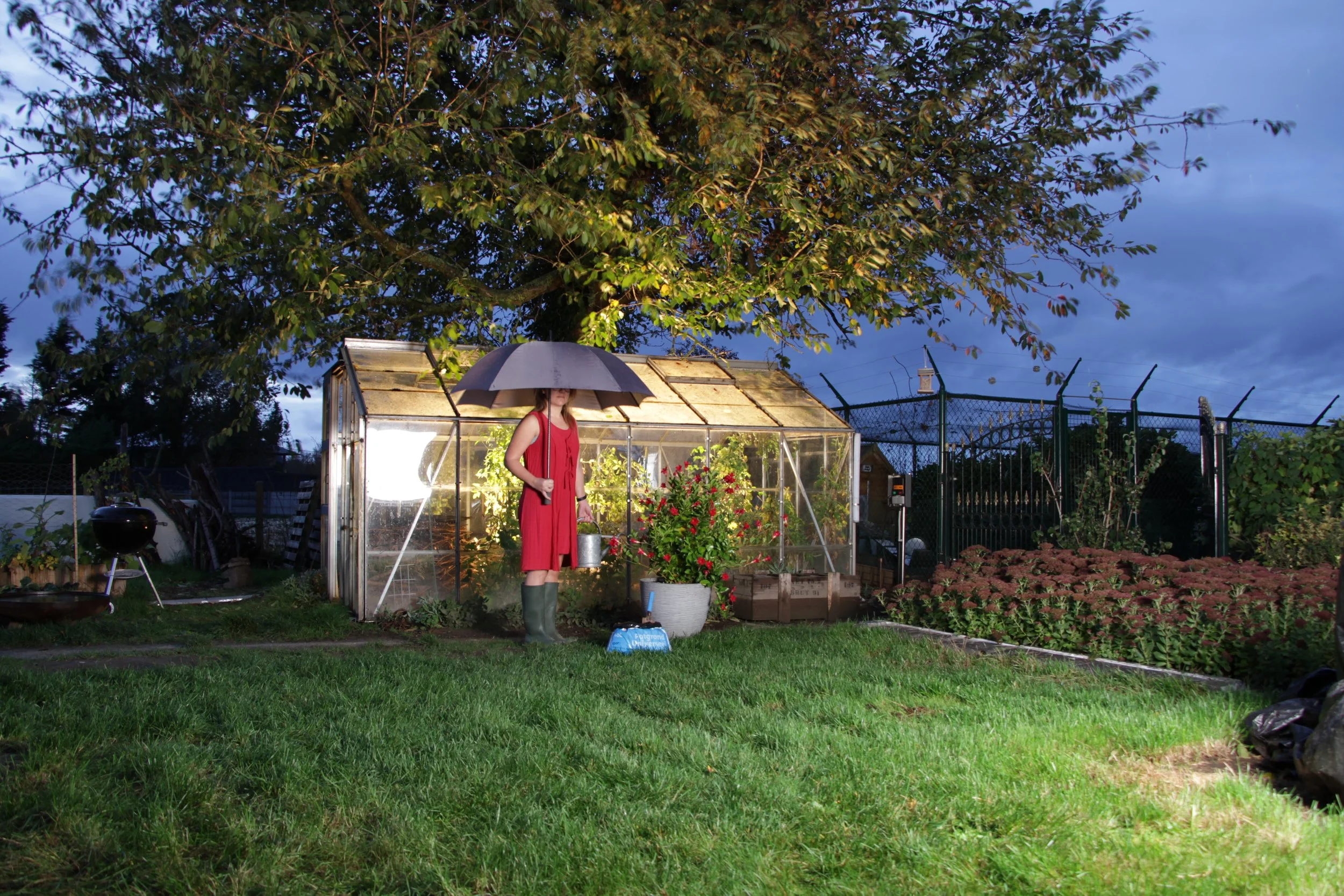 Mark Devesse -Buurvrouw