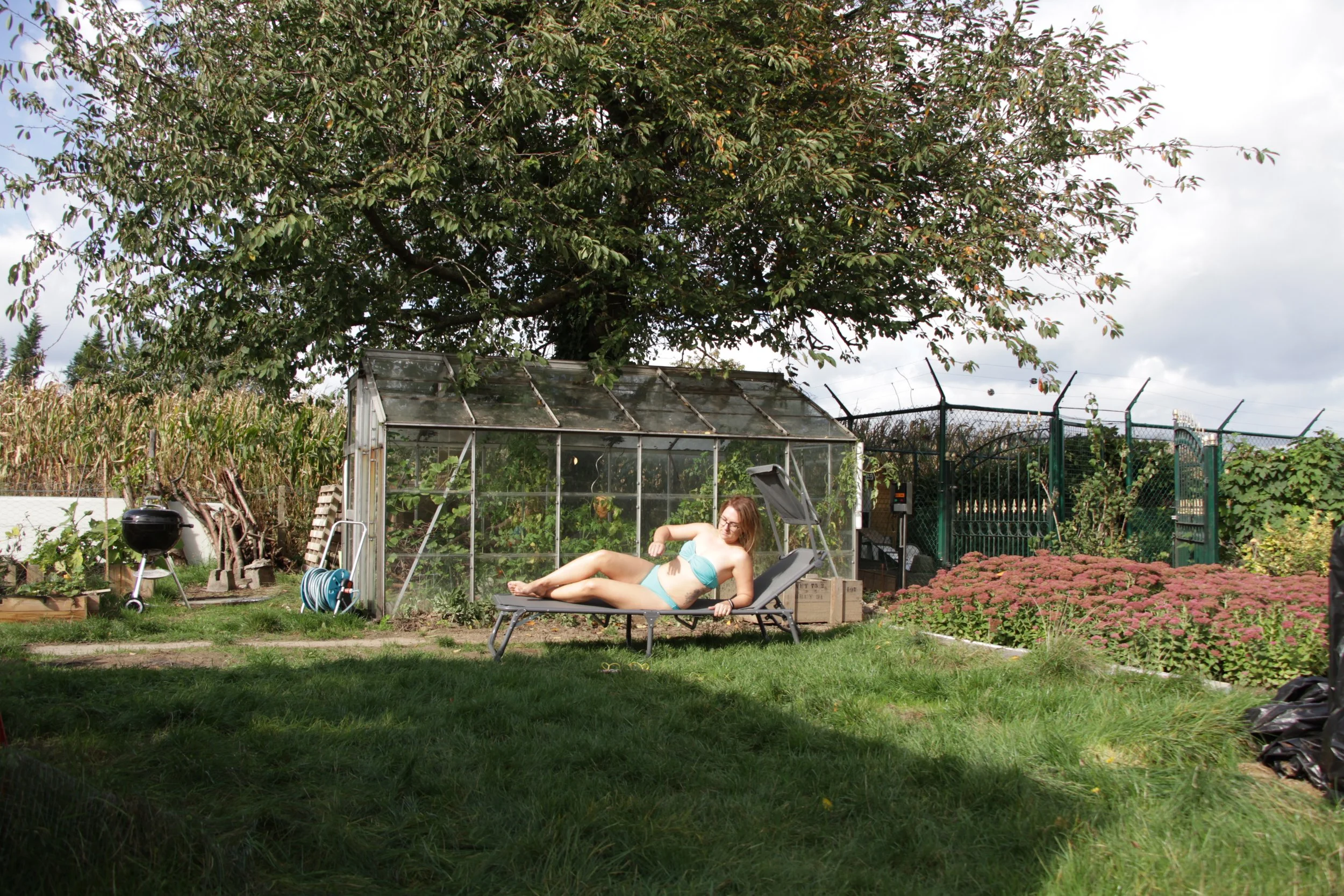 Mark Devesse -Buurvrouw