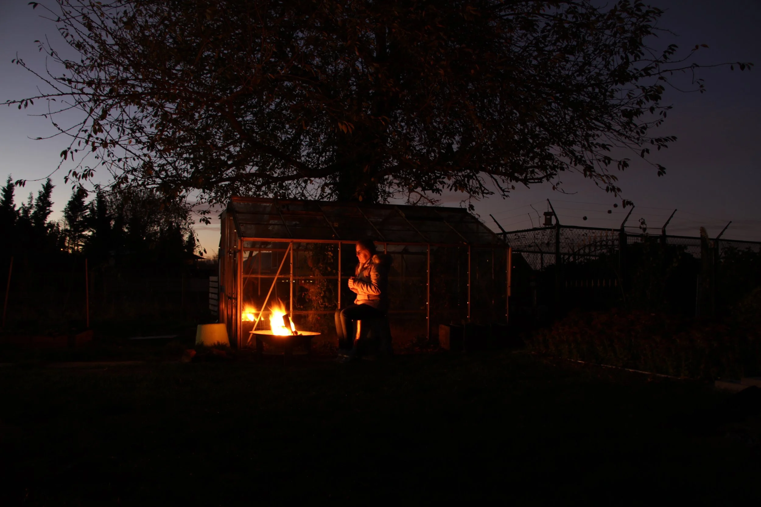 Mark Devesse -Buurvrouw