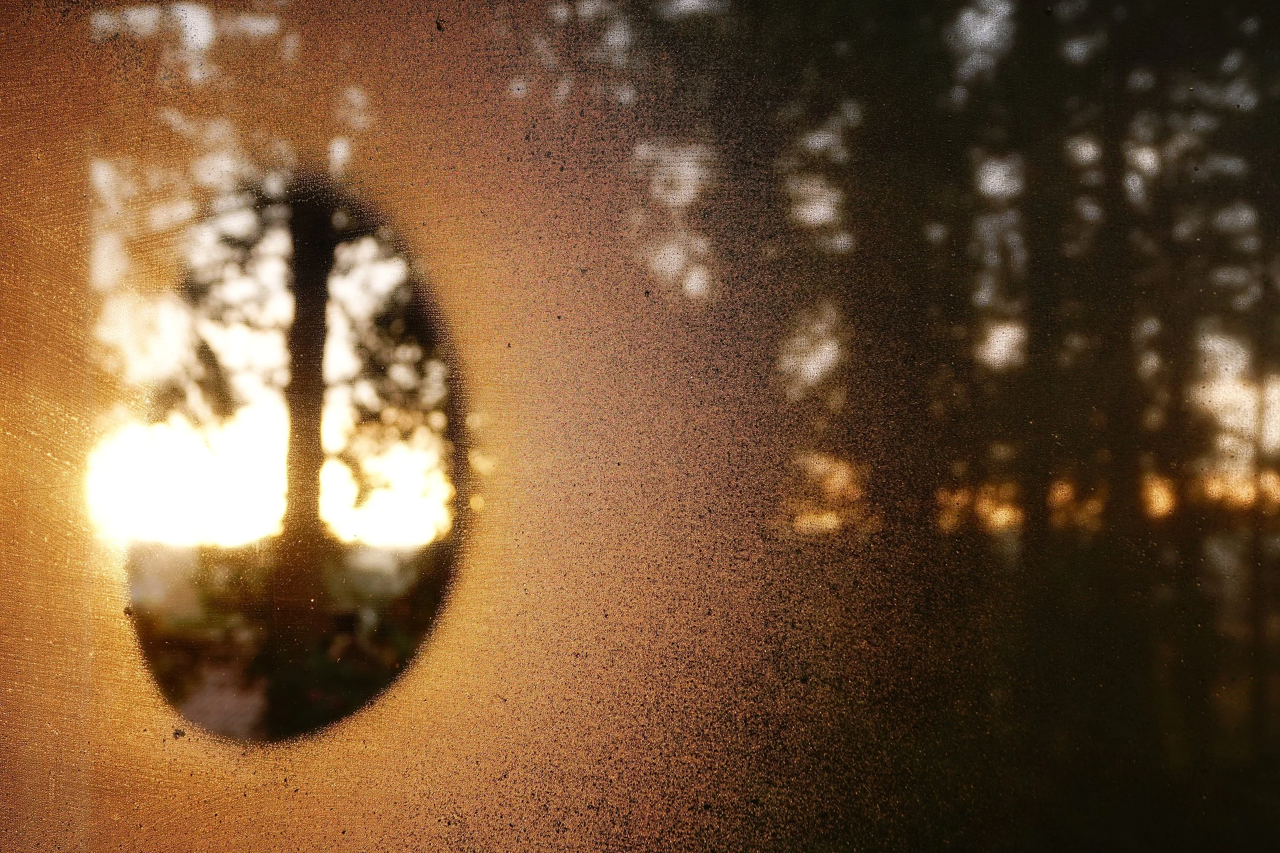 Christel Caluwaerts-licht