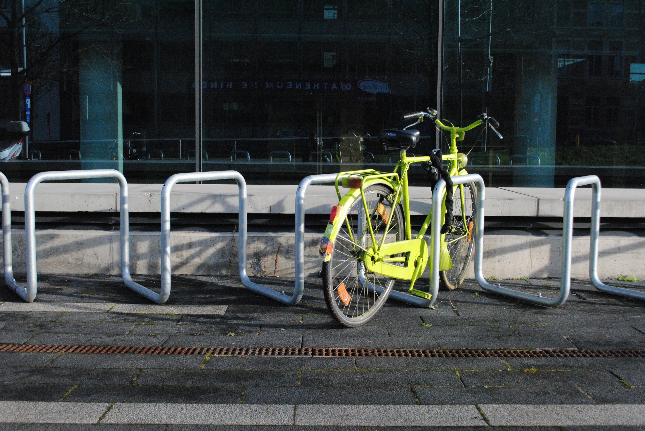 Kelly Van Hecke-ritme