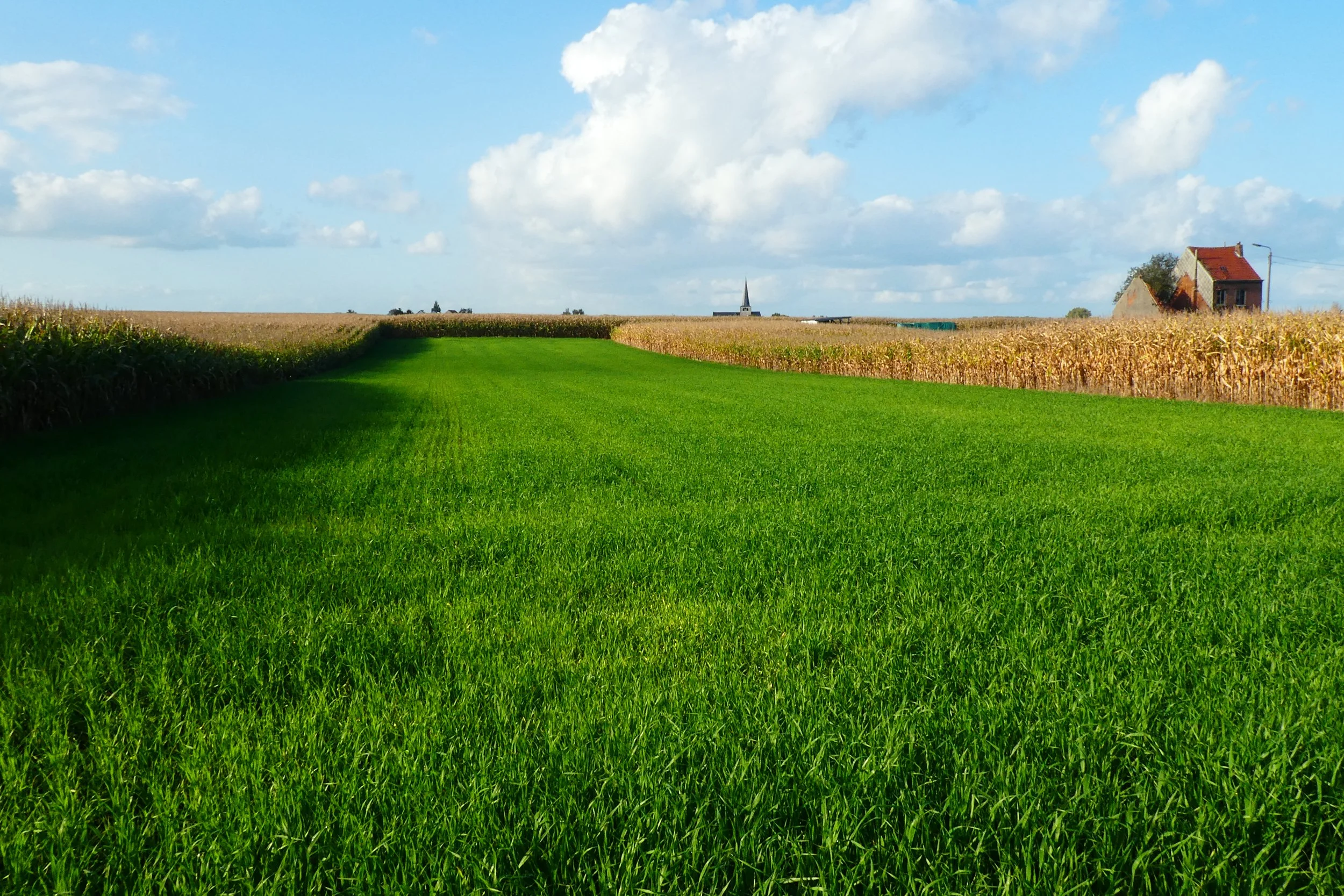 Margriet van Gilse-landschap