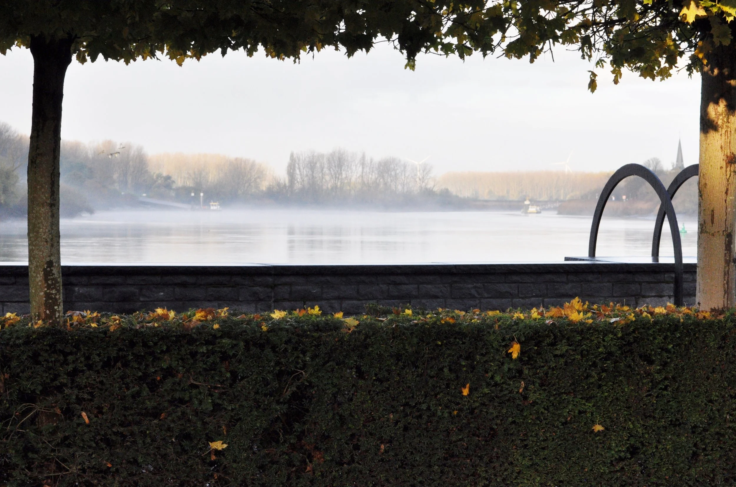 Danny Verbruggen-landschap