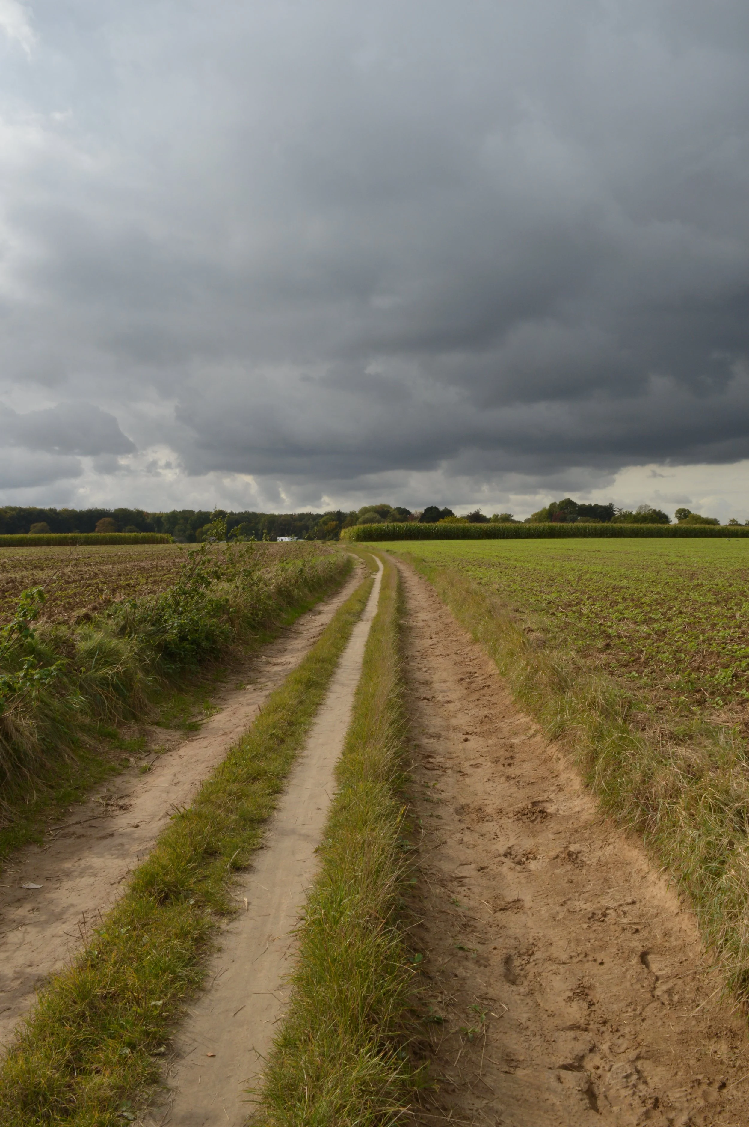 Hadewijch Meirlaen-landschap