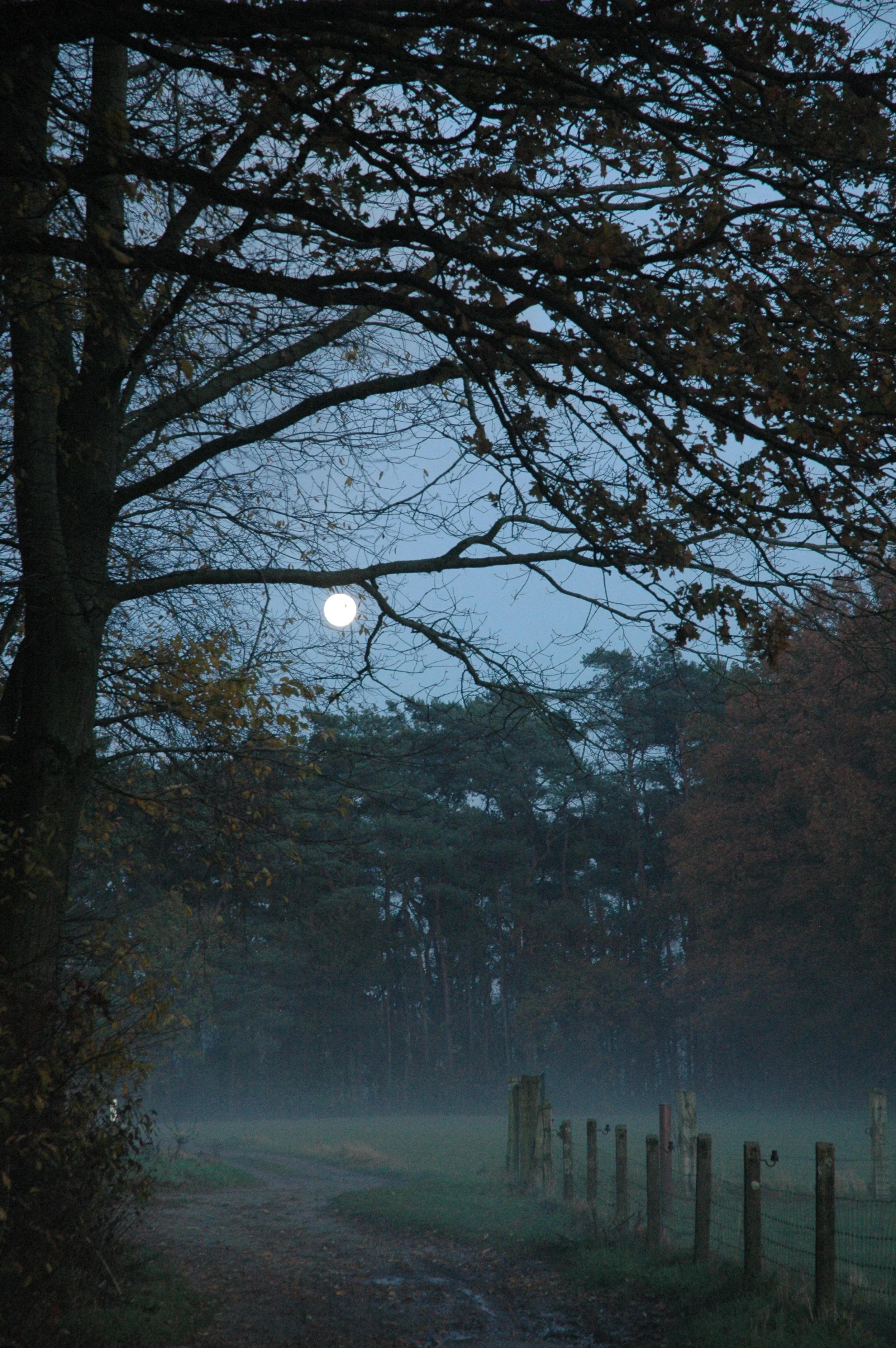 Marijke Pellens-landschap