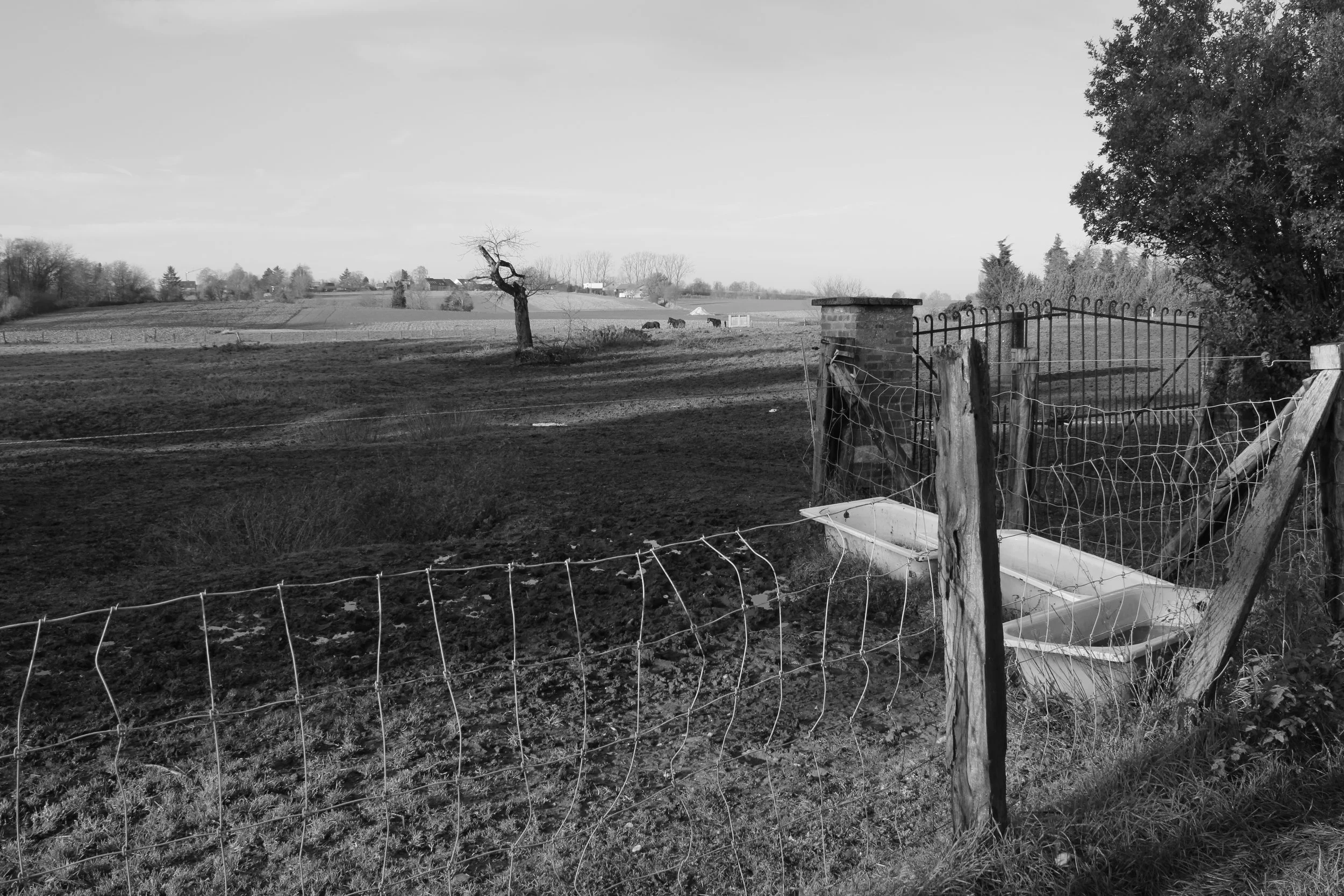 Sarah Graus - Landschap