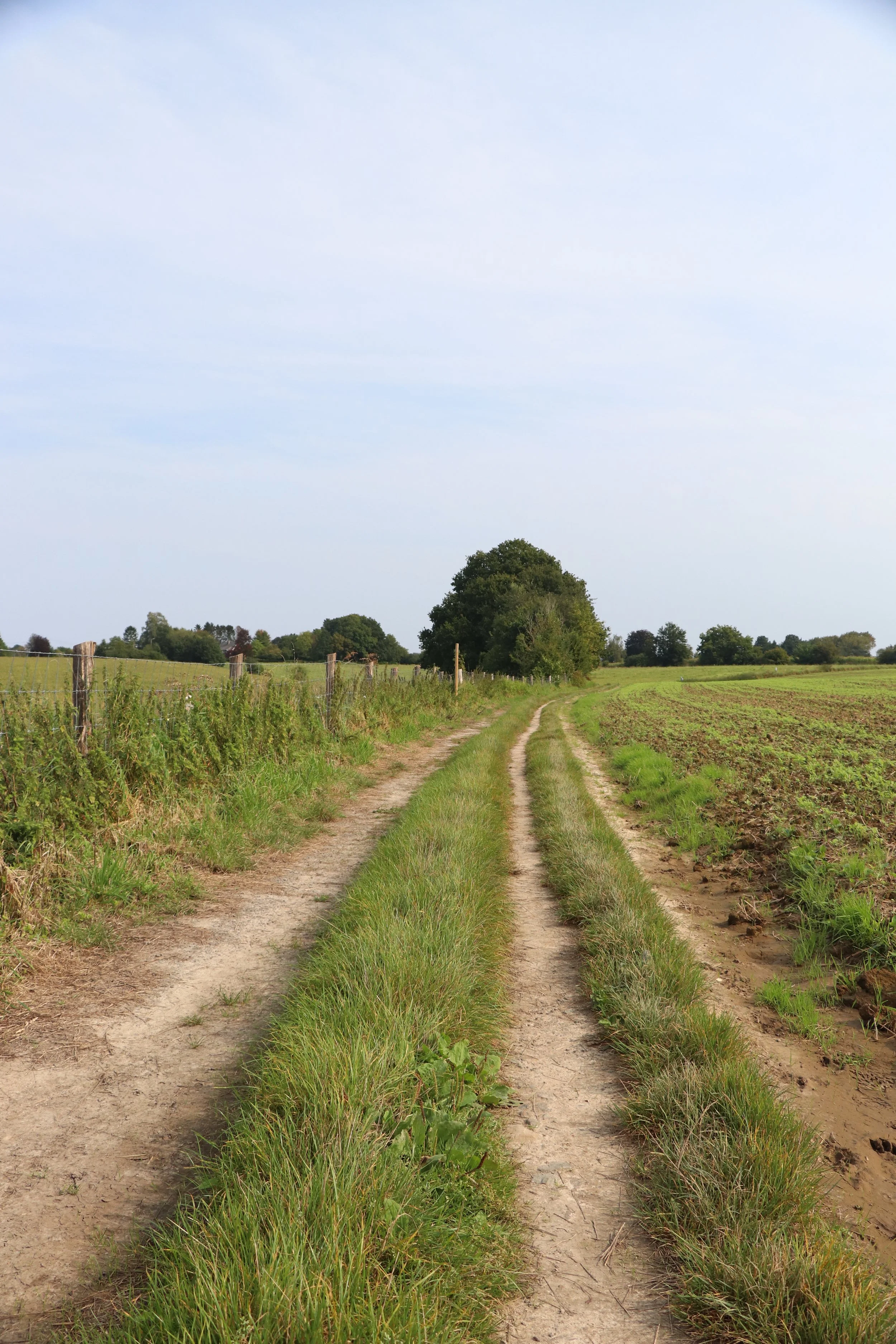 Blake Geyzels-Landschap