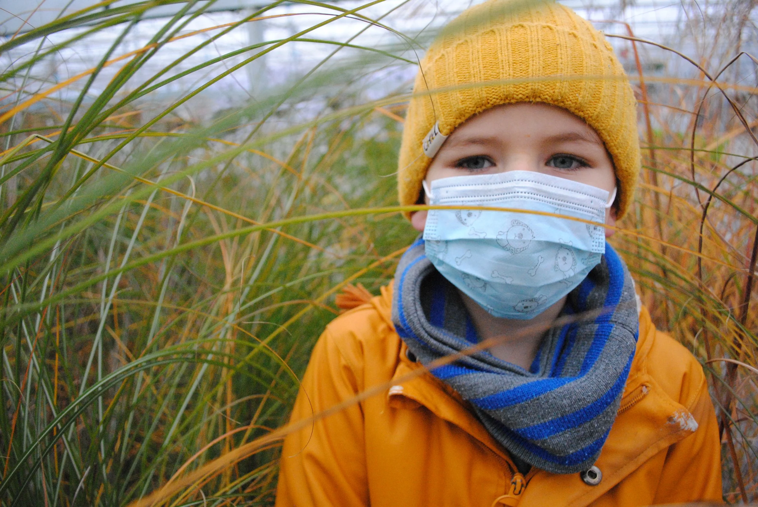 Kelly Van Hecke-mens