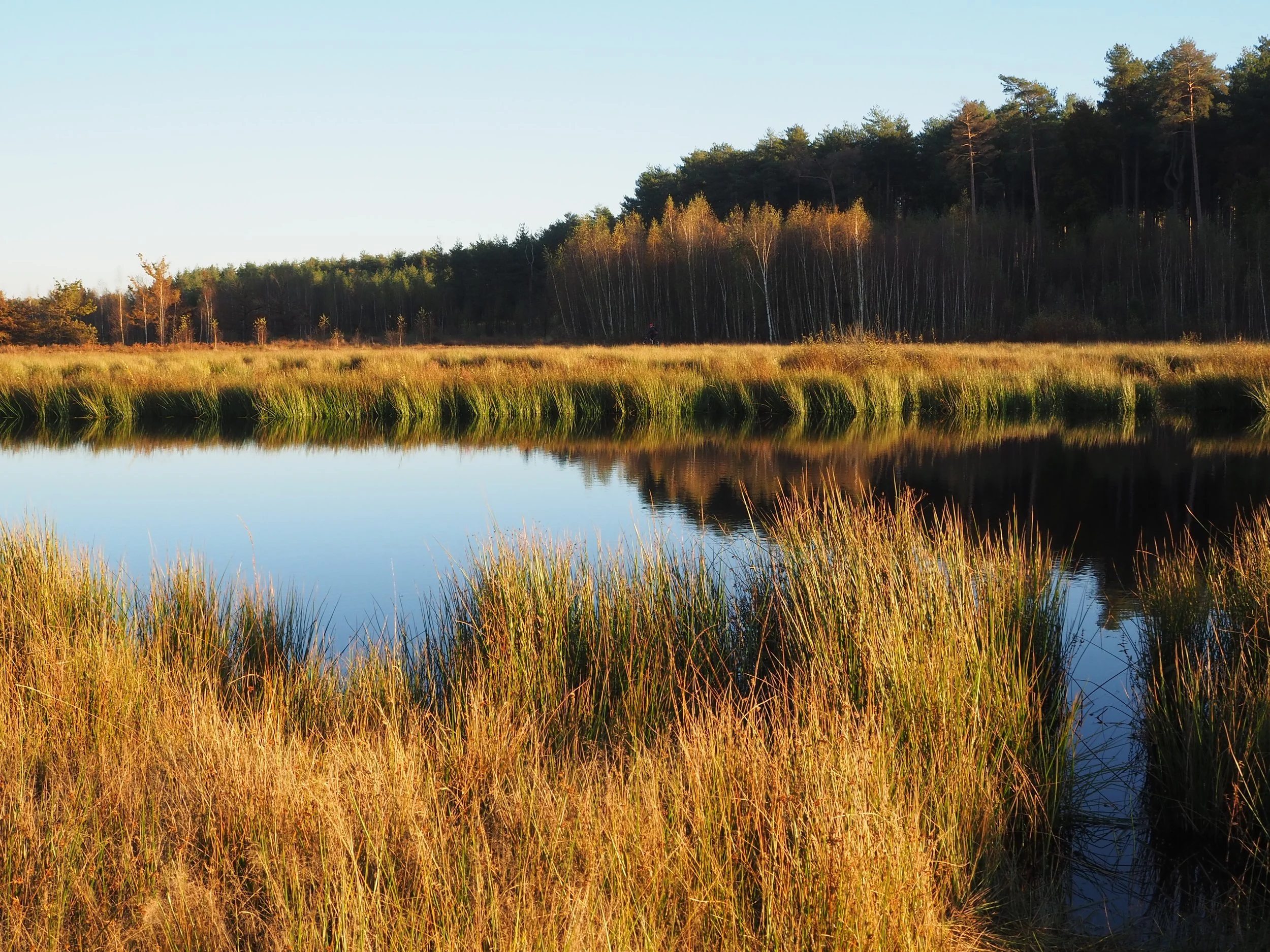 Kevin Van Calster-landschap