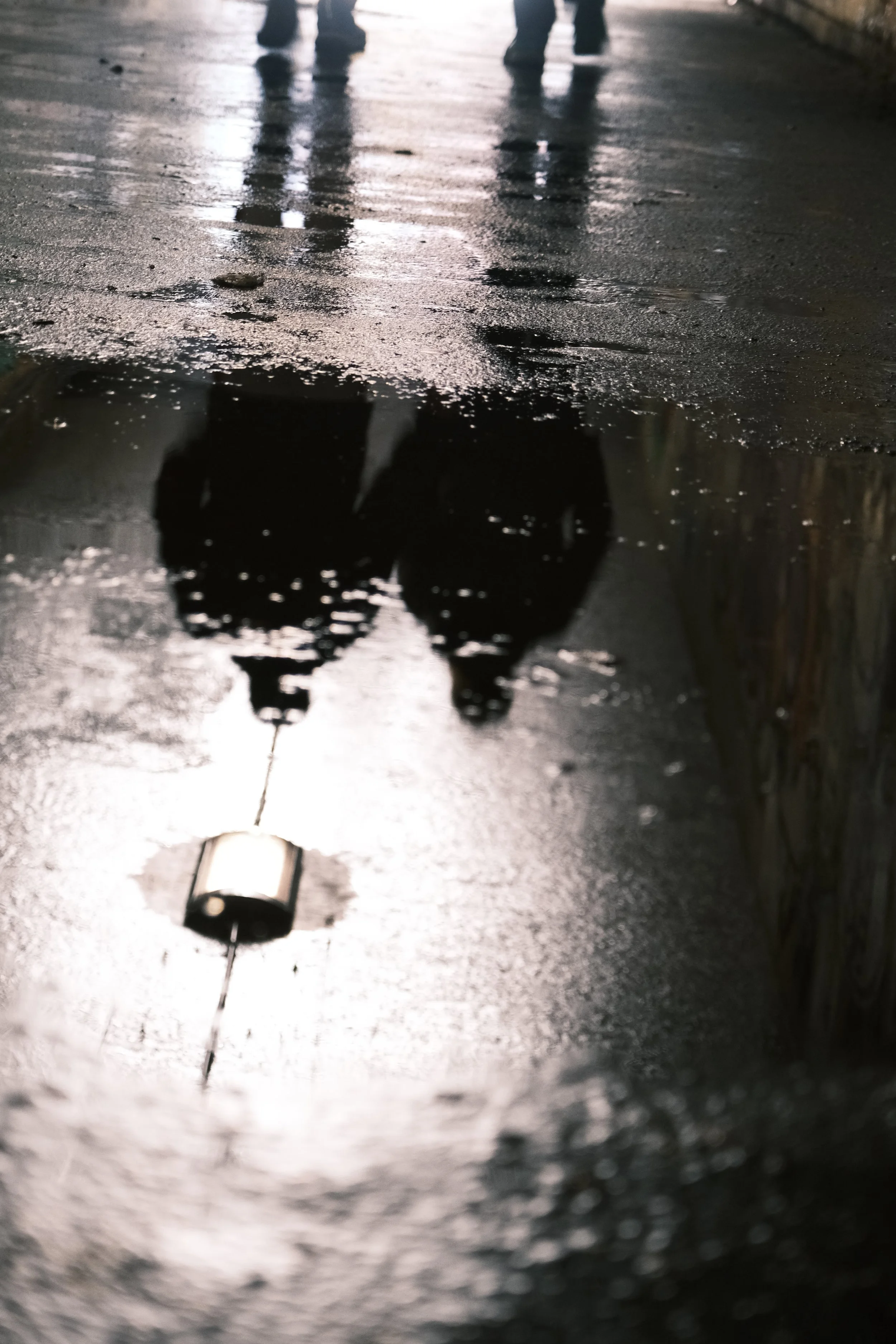 Kevin Van Calster-ritme