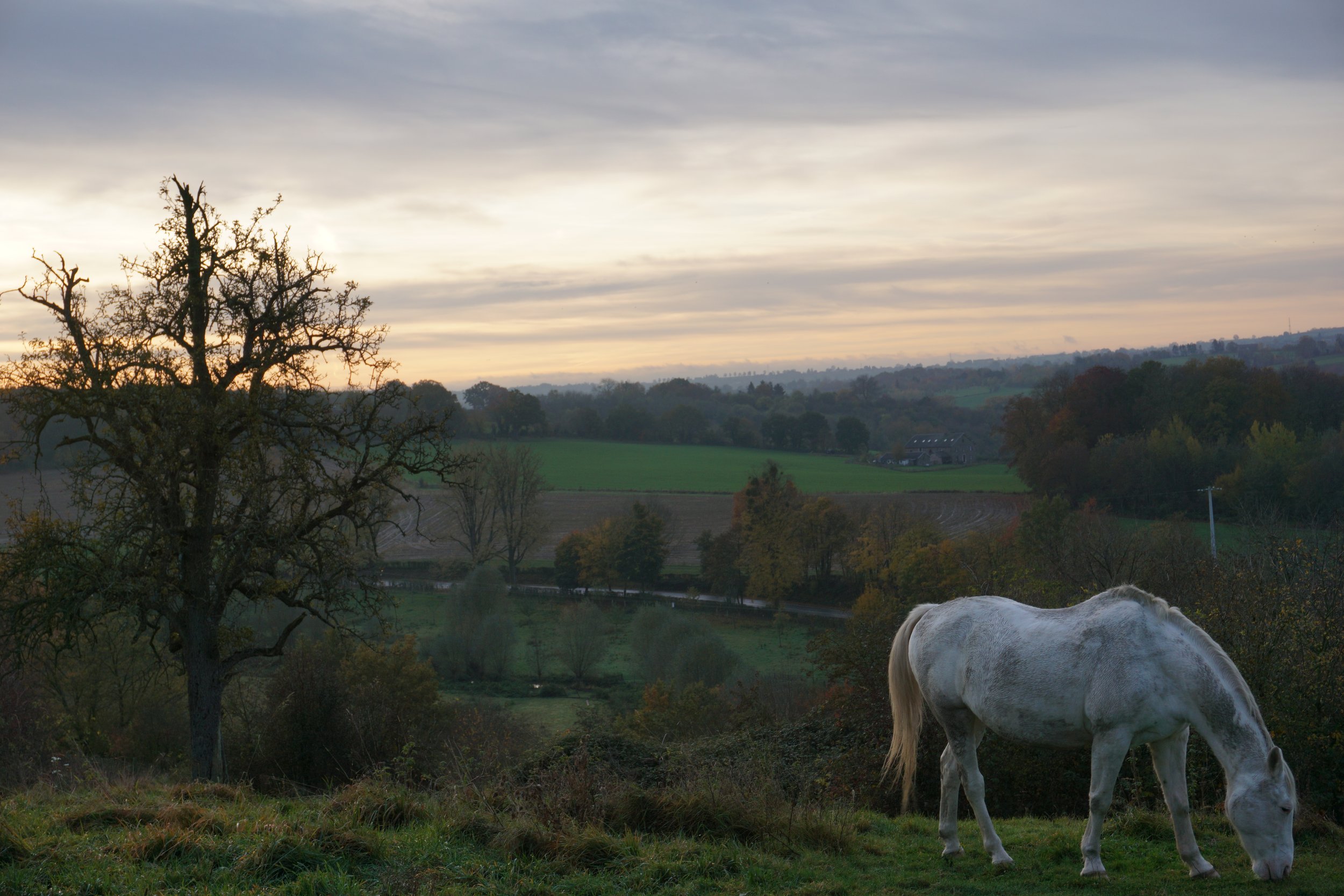 Kristl Meulenbergs-landschap