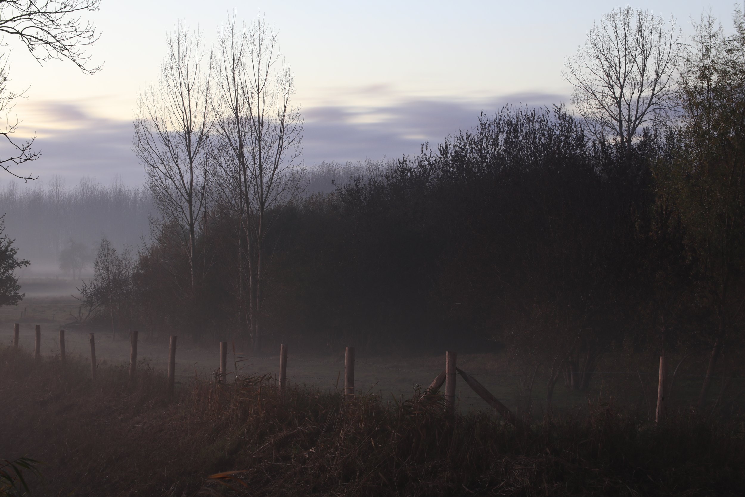 Janne Lefebvre-landschap