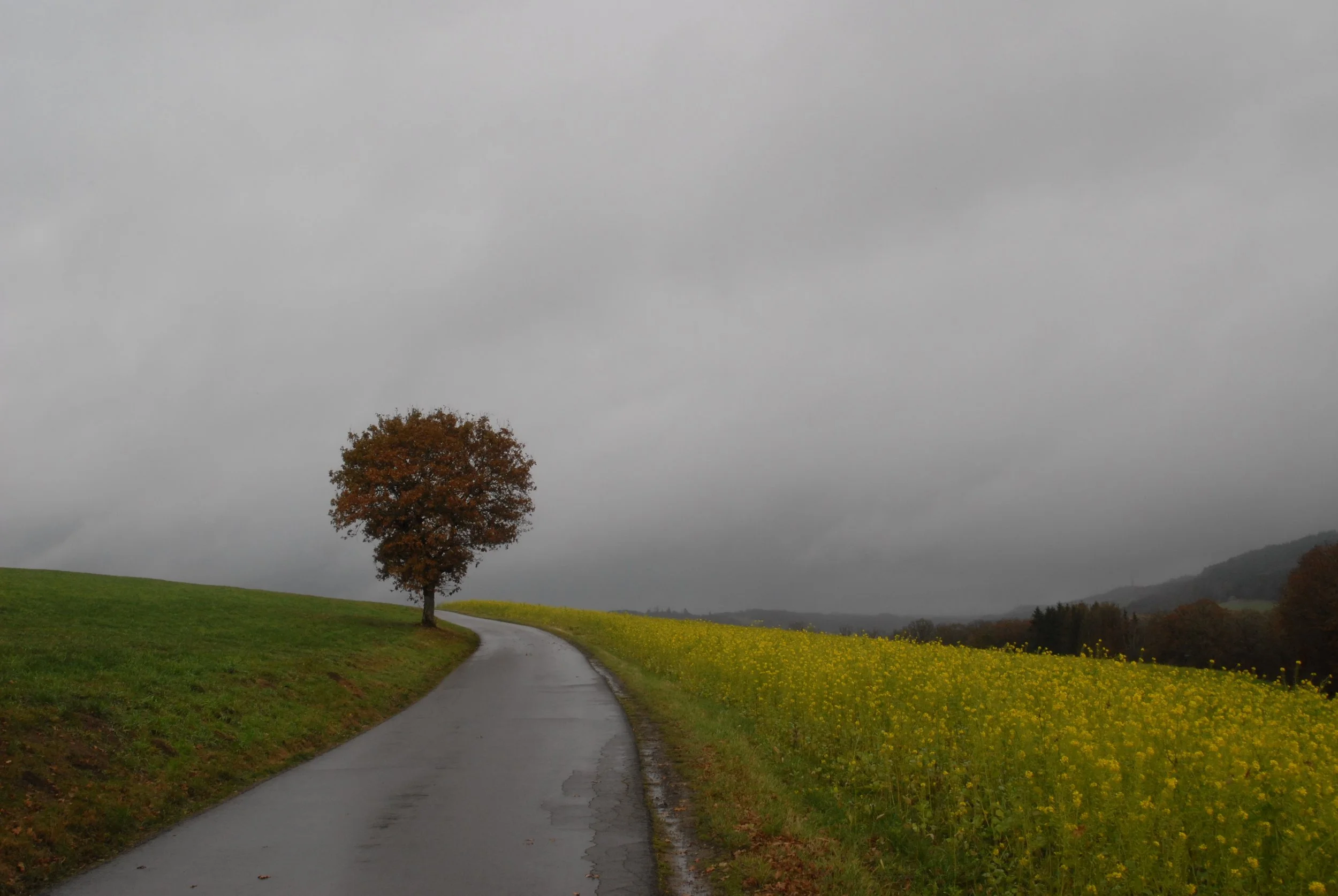 Steven Tan-Landschap