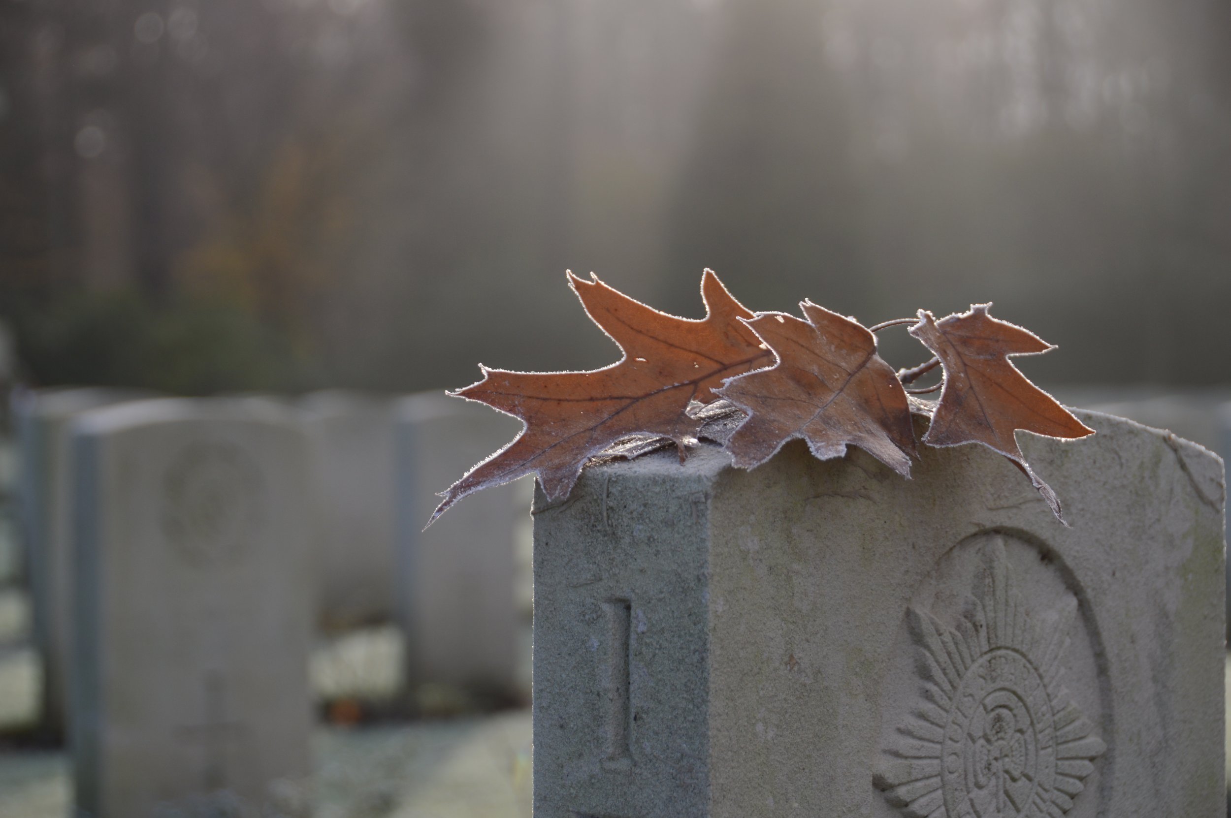 Lieve Dhaene-interpretatie