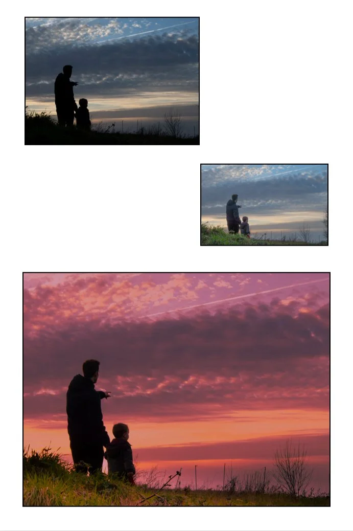 Danielle Delchef-landschap