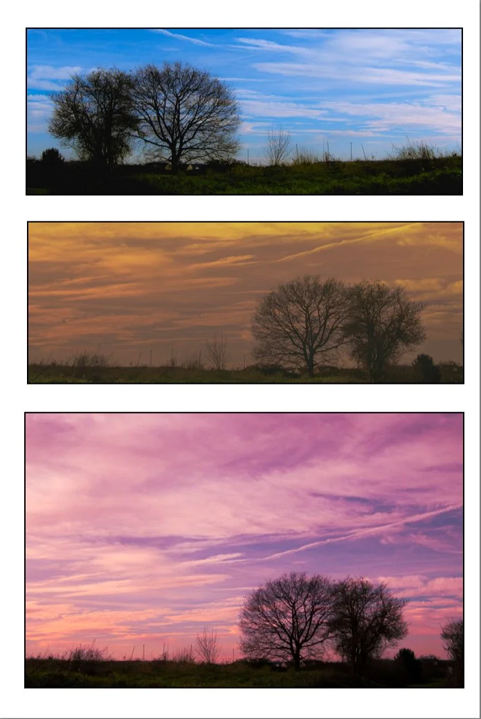 Danielle Delchef-landschap