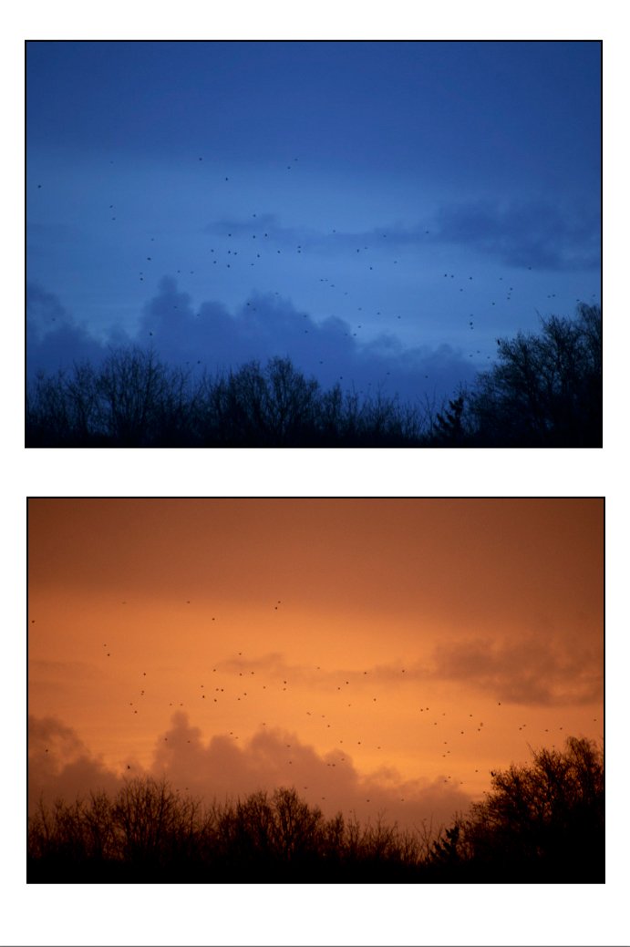 Danielle Delchef-sfeer