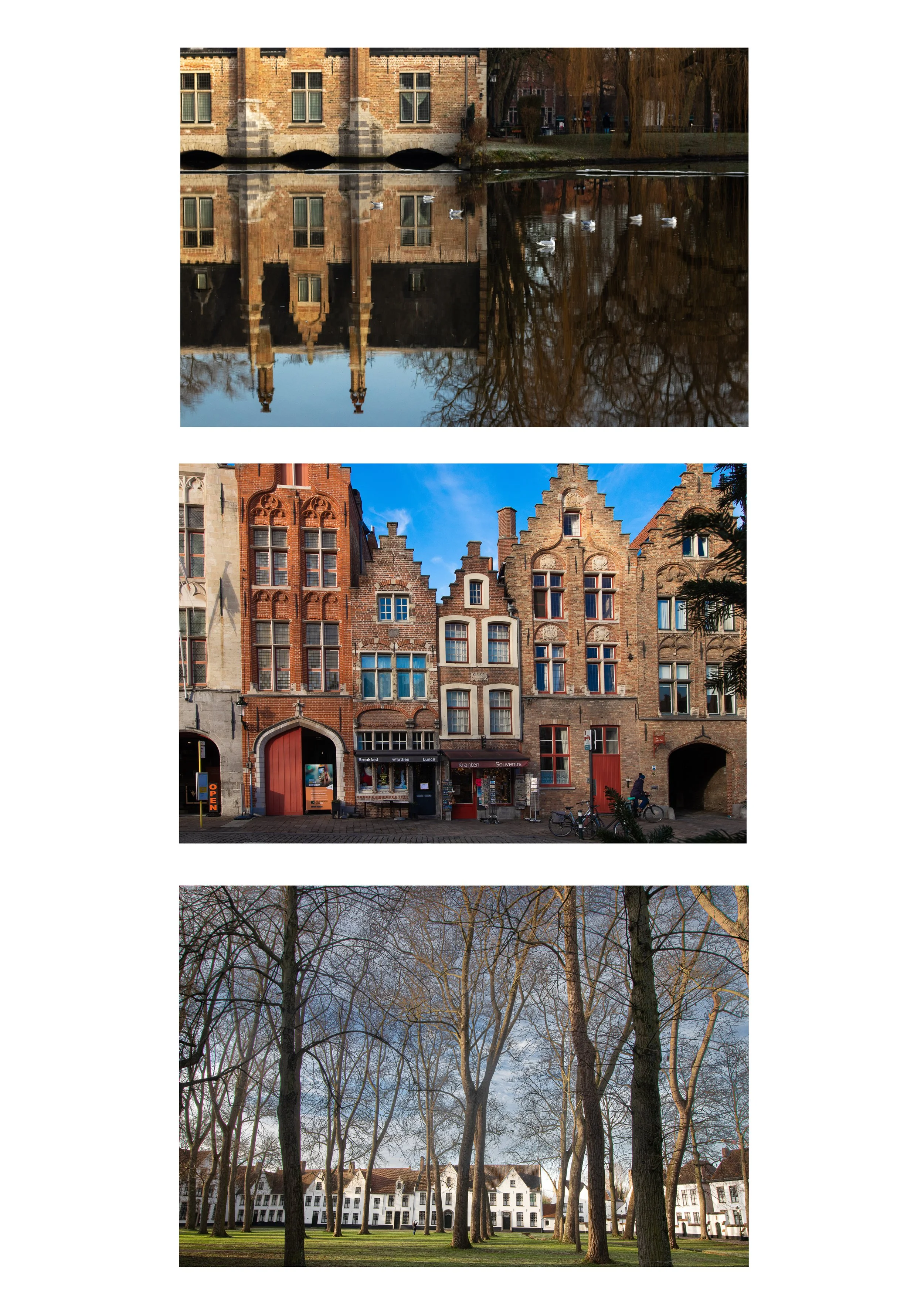 Annick Declercq-tegenlicht-hoog contrast