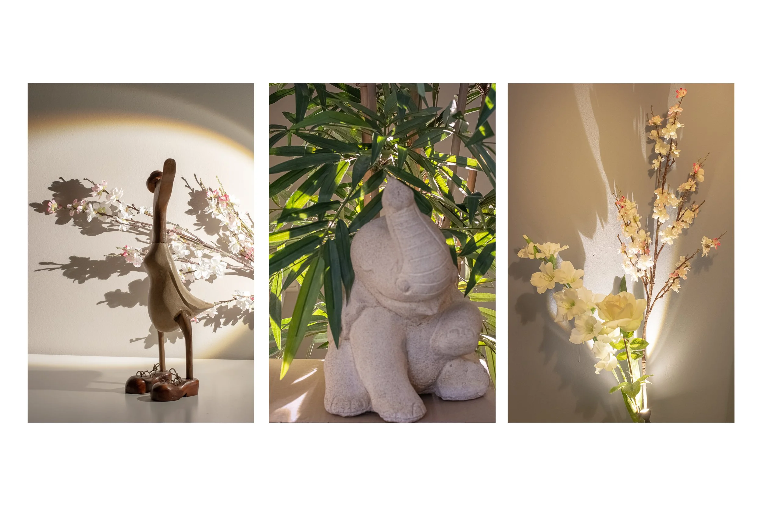 Joyce Friedrich-hoog contrast