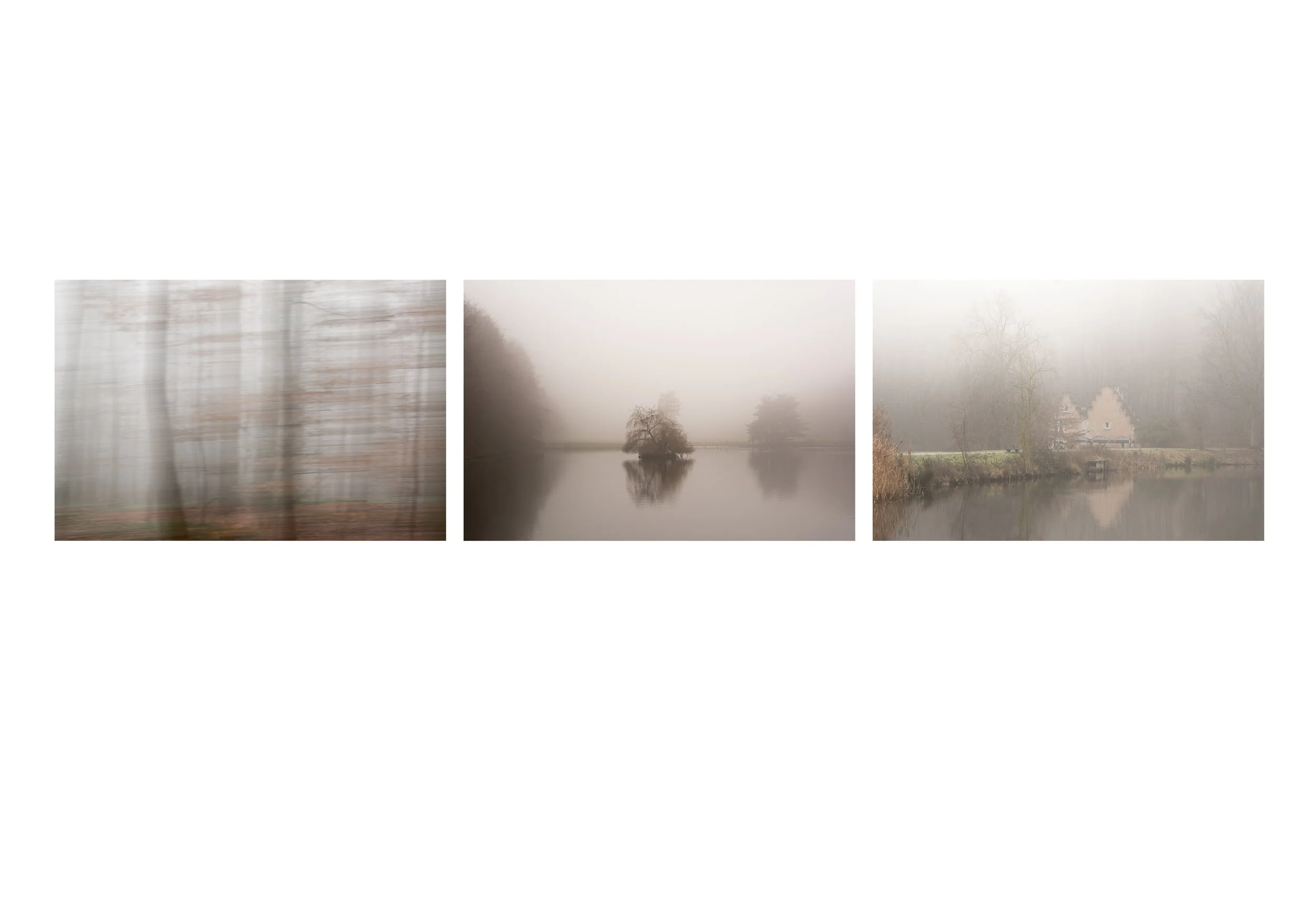 Joyce Friedrich-laag contrast