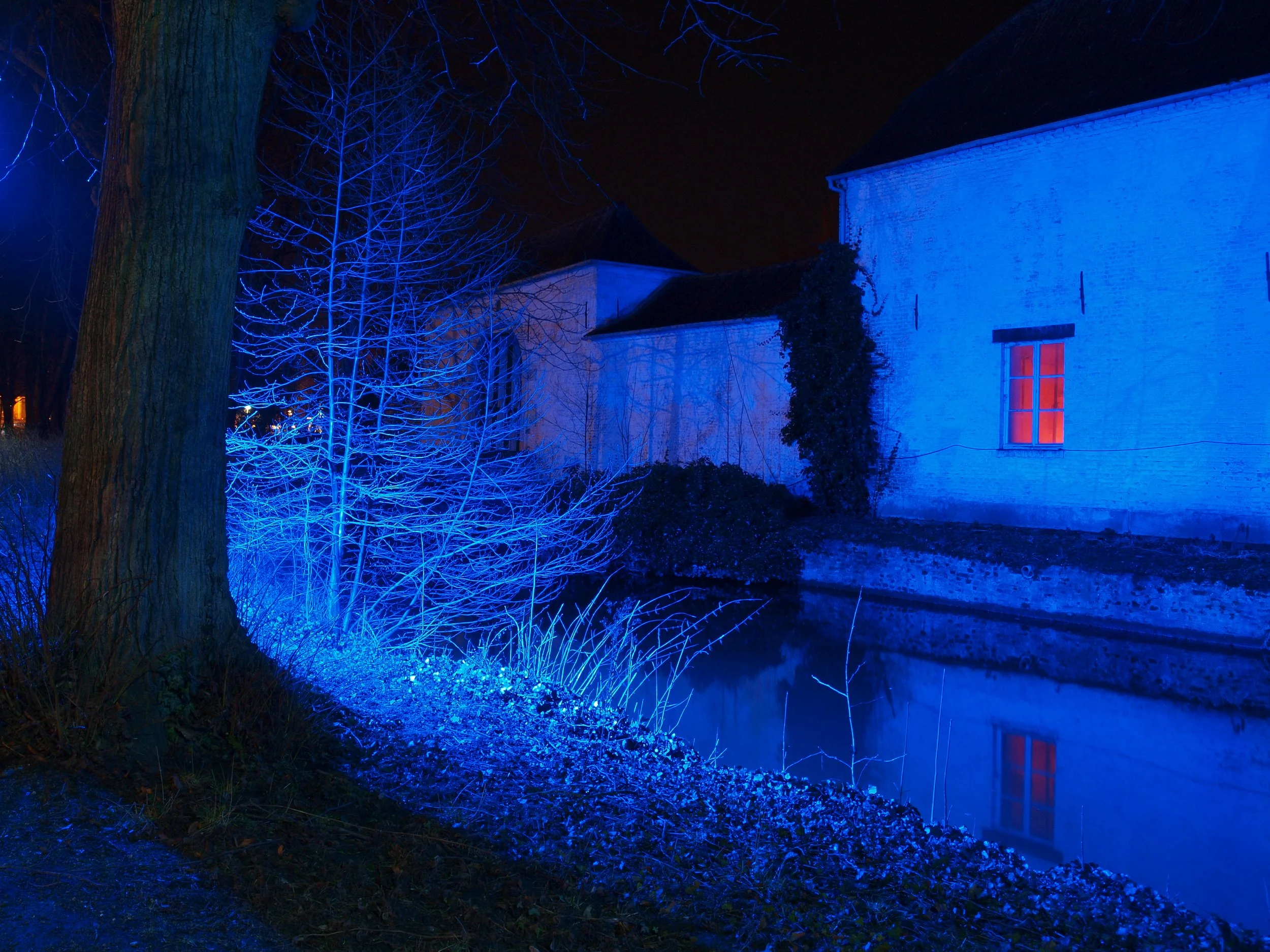 Nicole Pieters-licht1