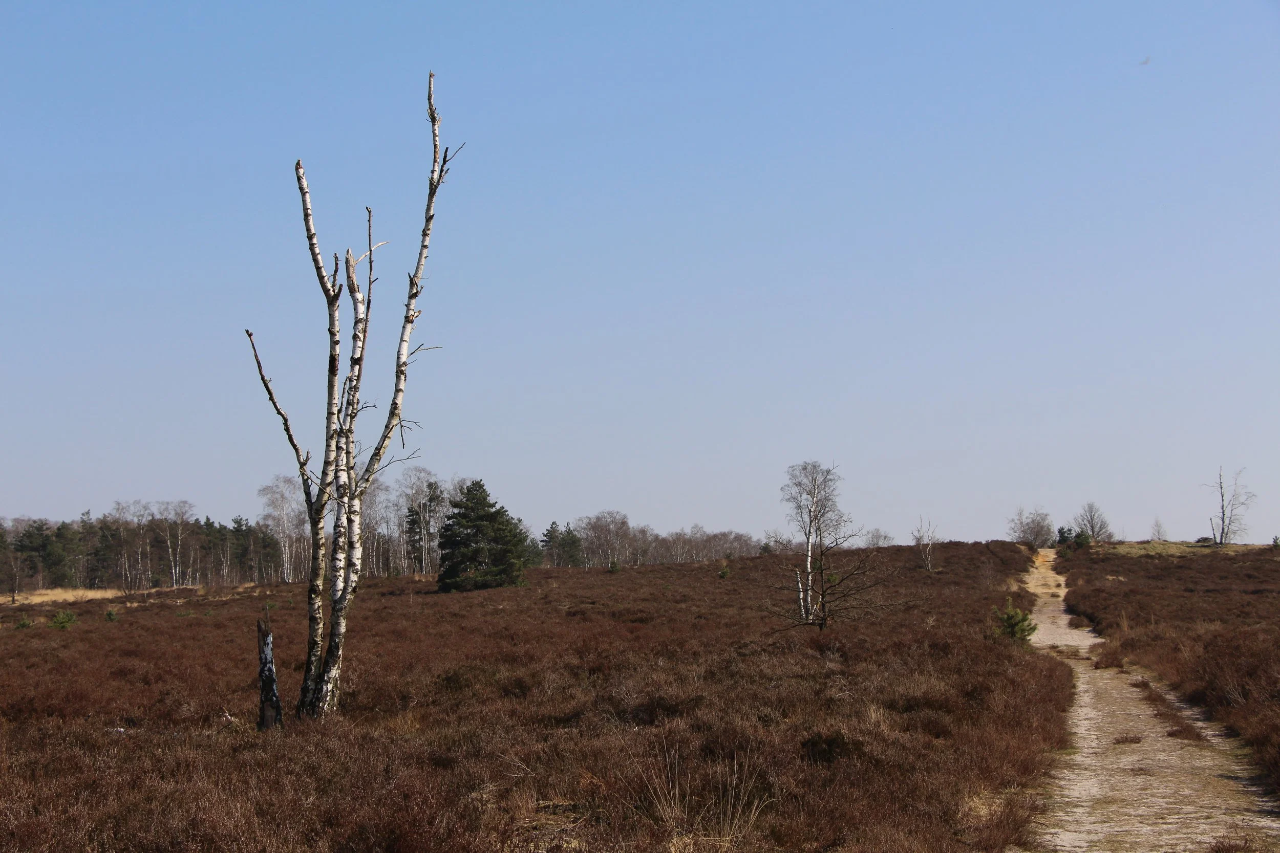 Inge Swartenbroekx-landschap