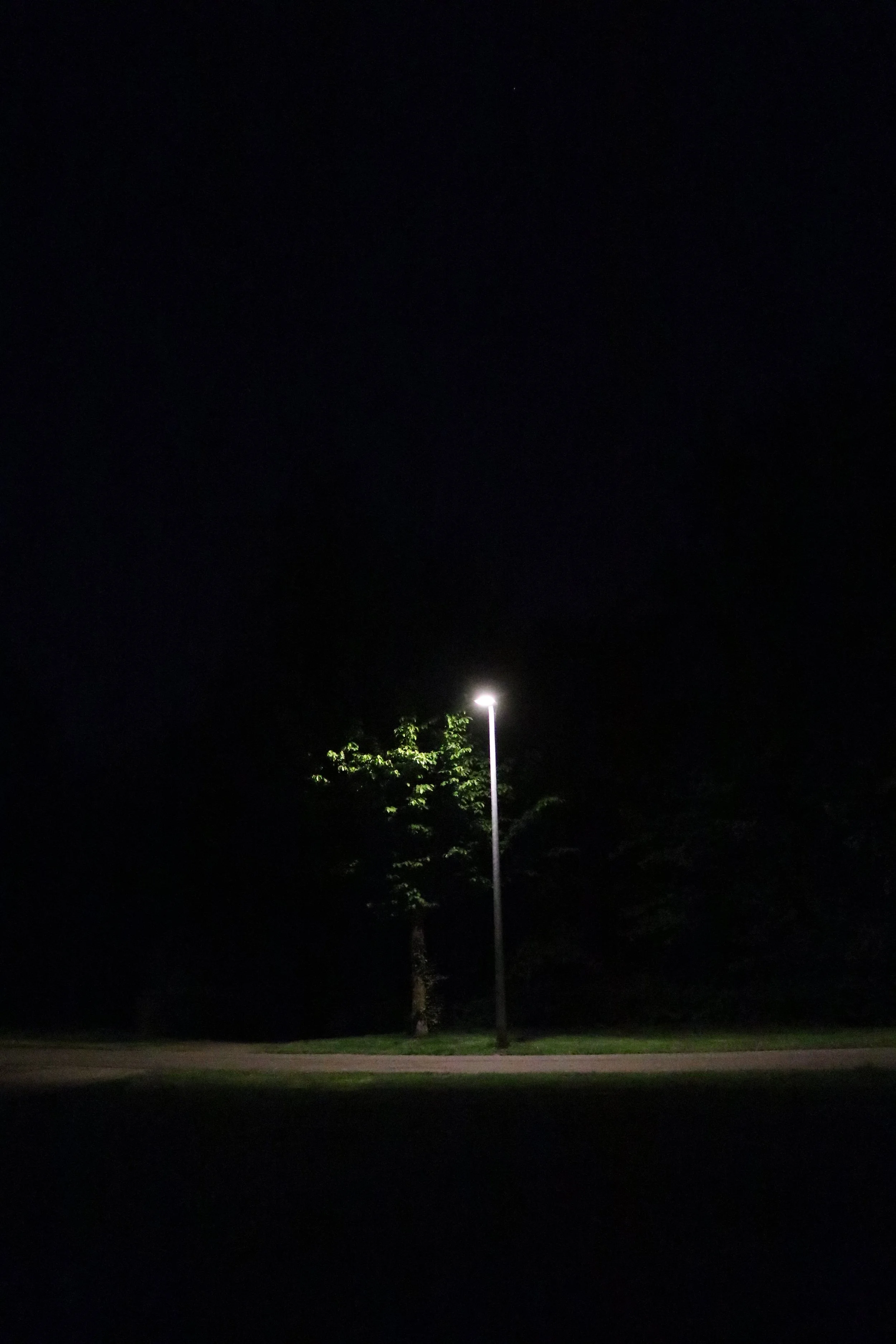 Liesbeth Van Hoof-licht