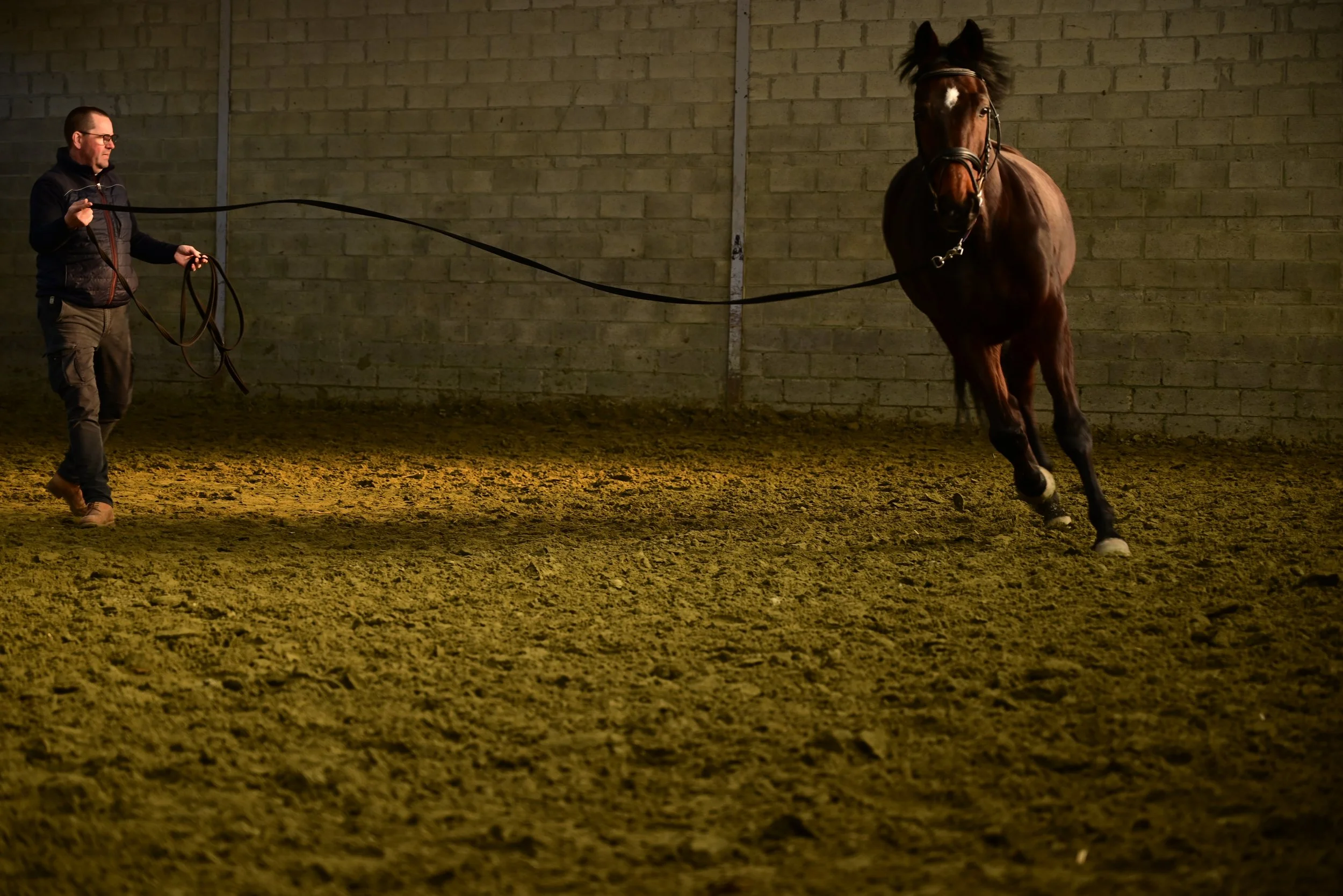 Marijke Pellens-gebeurtenis