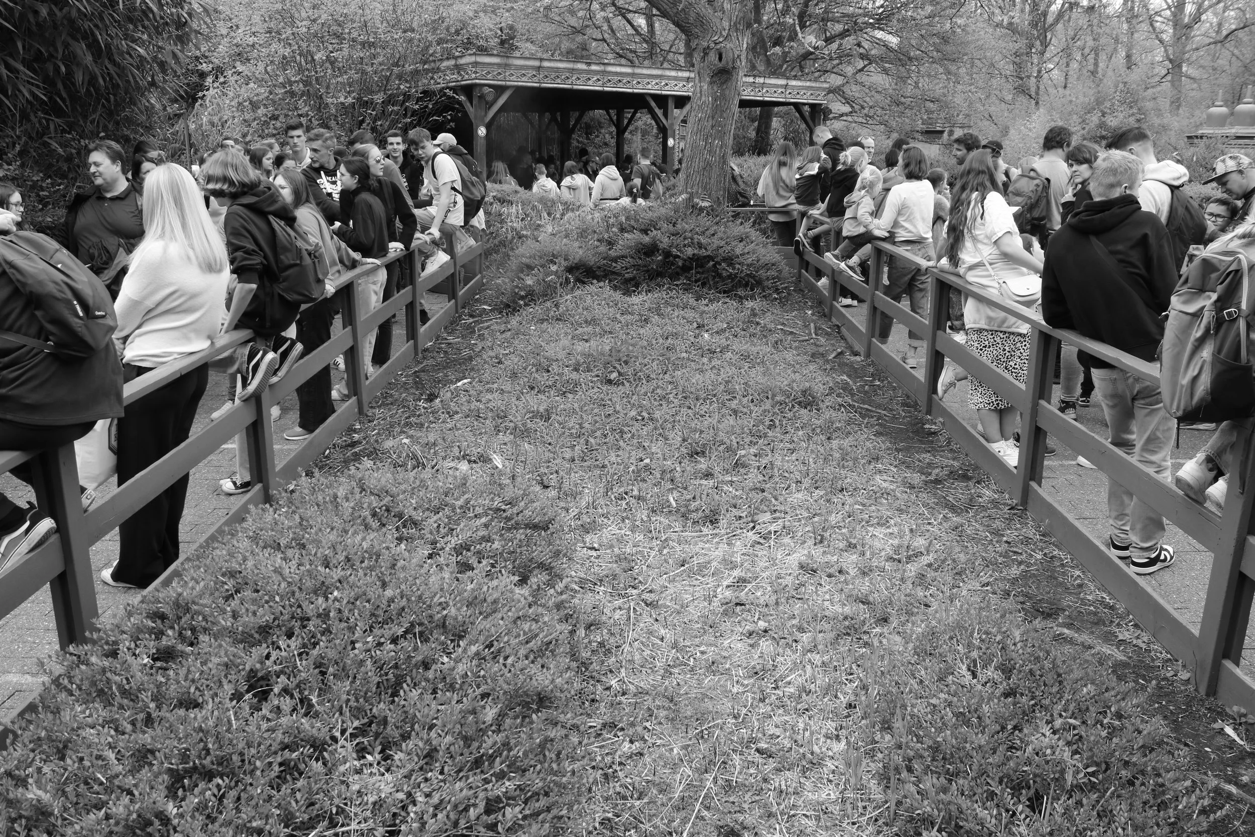 Tim Caers-gebeurtenis