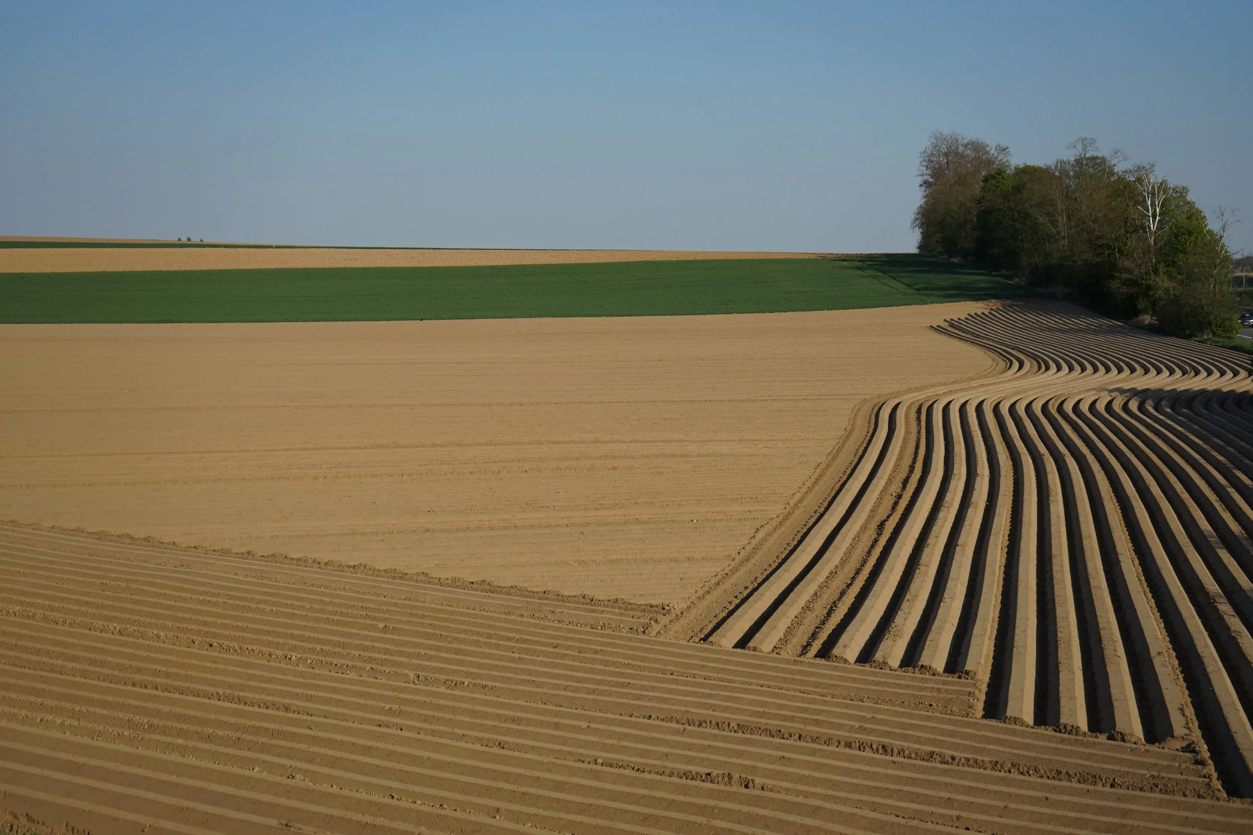 Jonny Staes-Landschap
