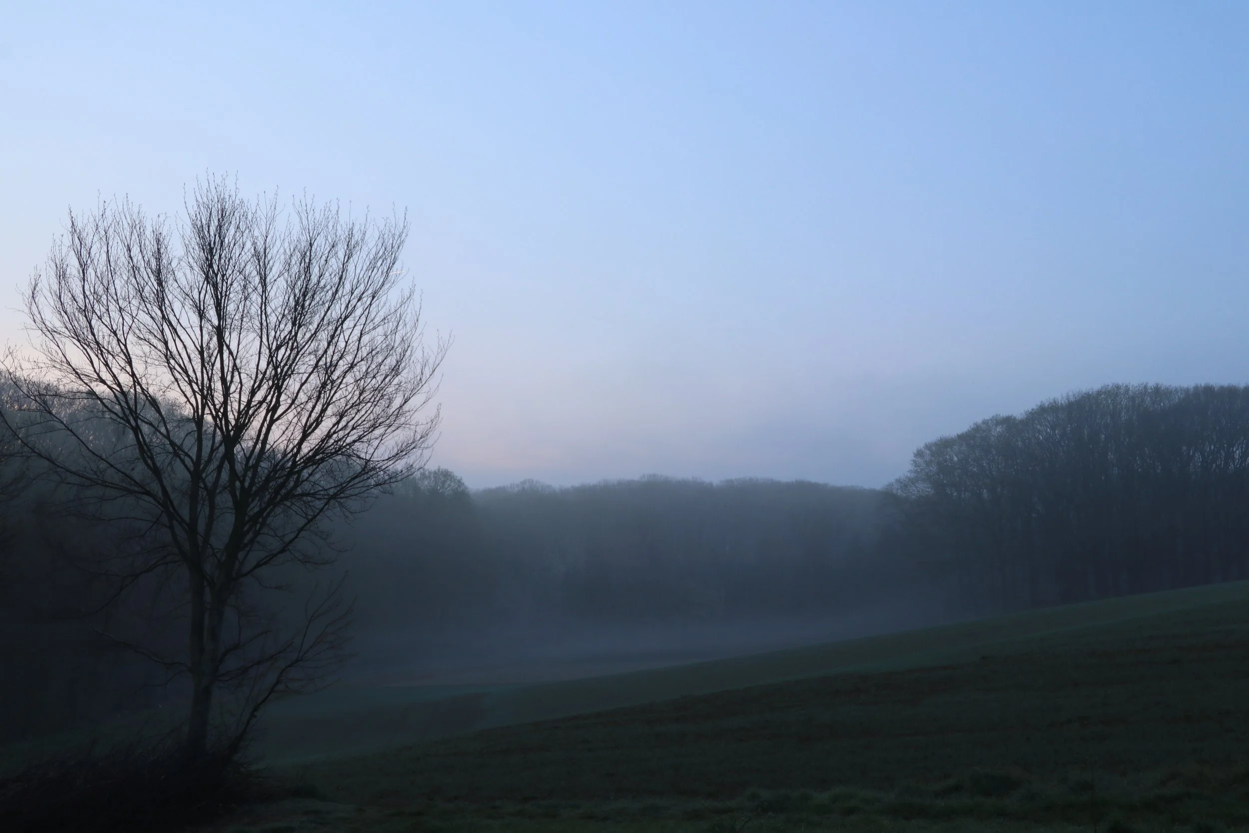 Liesbeth Van Hoof-Landschap