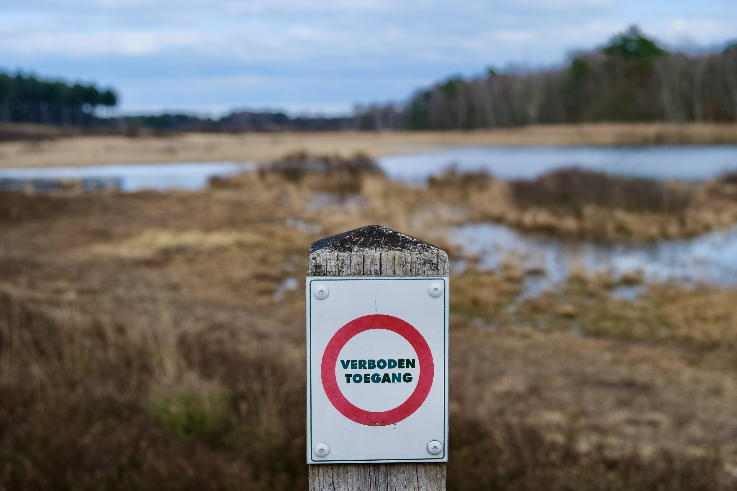 Veronique Vandeloo-Landschap