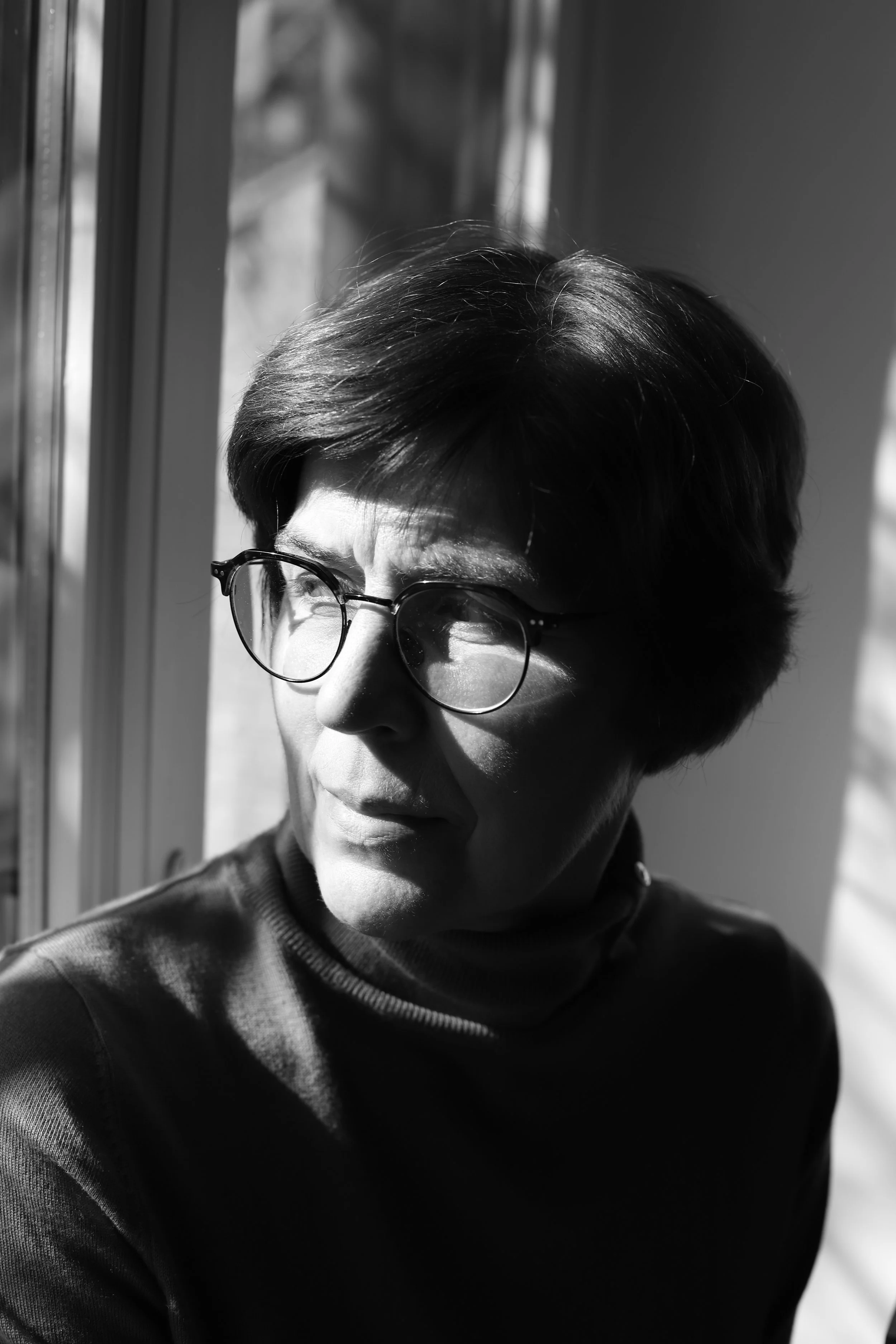 Carl Naesens-Portret aan een raam