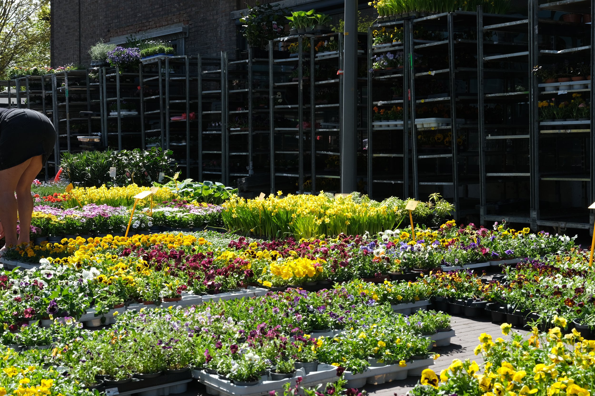 Kevin Van Calster-Gebeurtenis