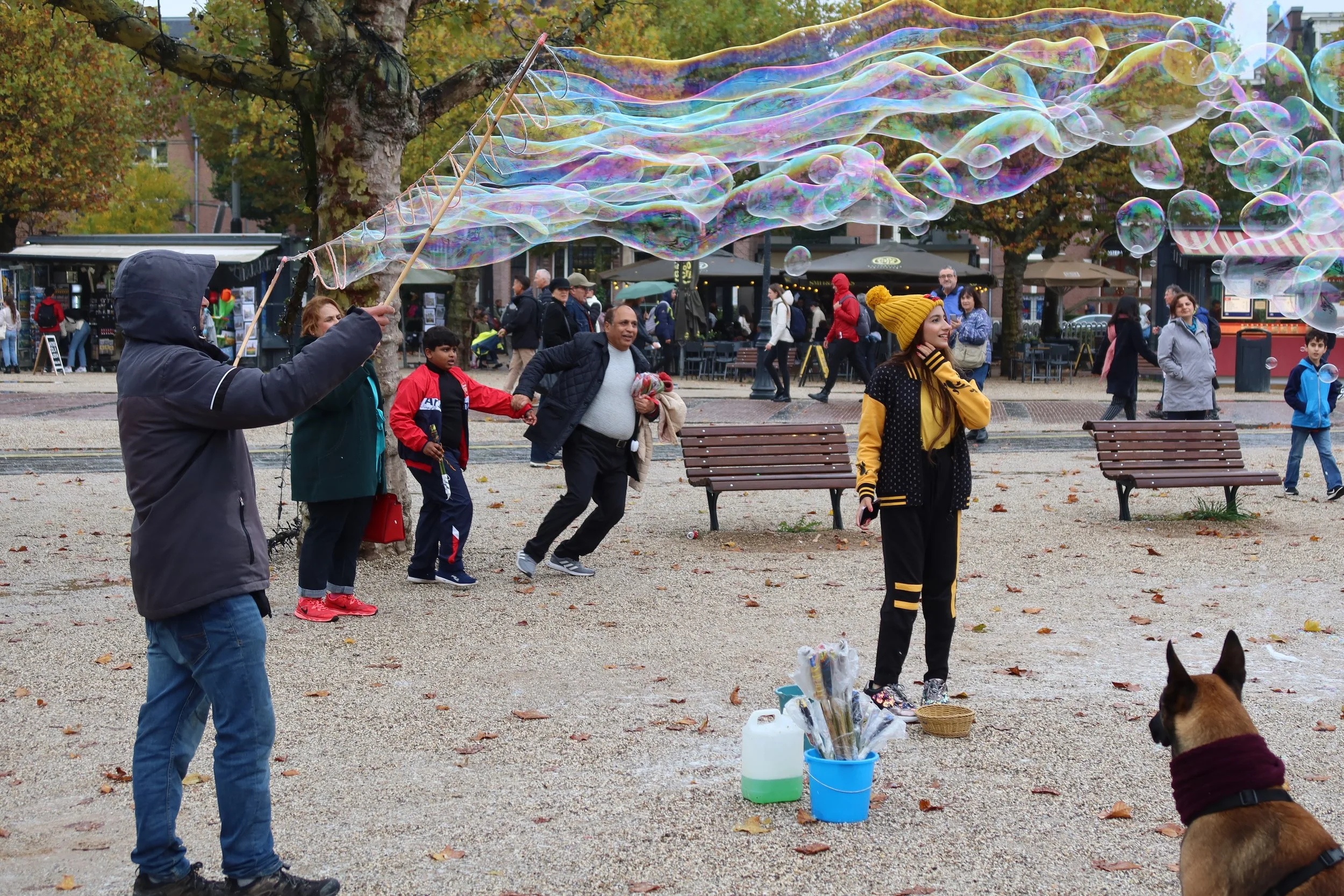 Annelies Hellemans-mens