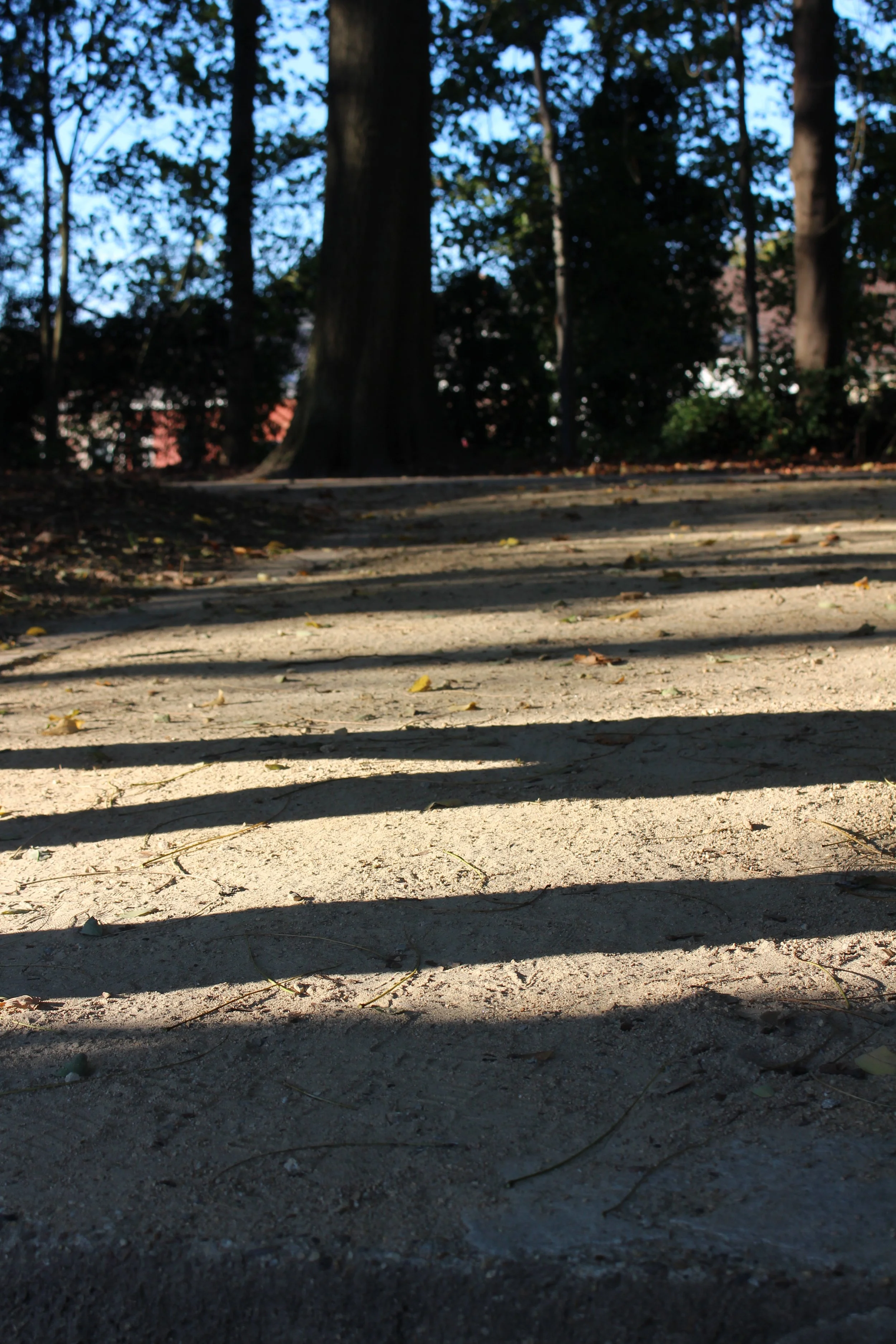 Daan Vranckaert-licht