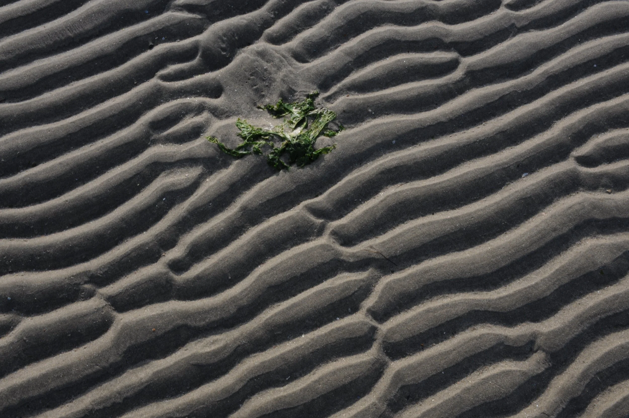 Irene Verdiesen-ritme 