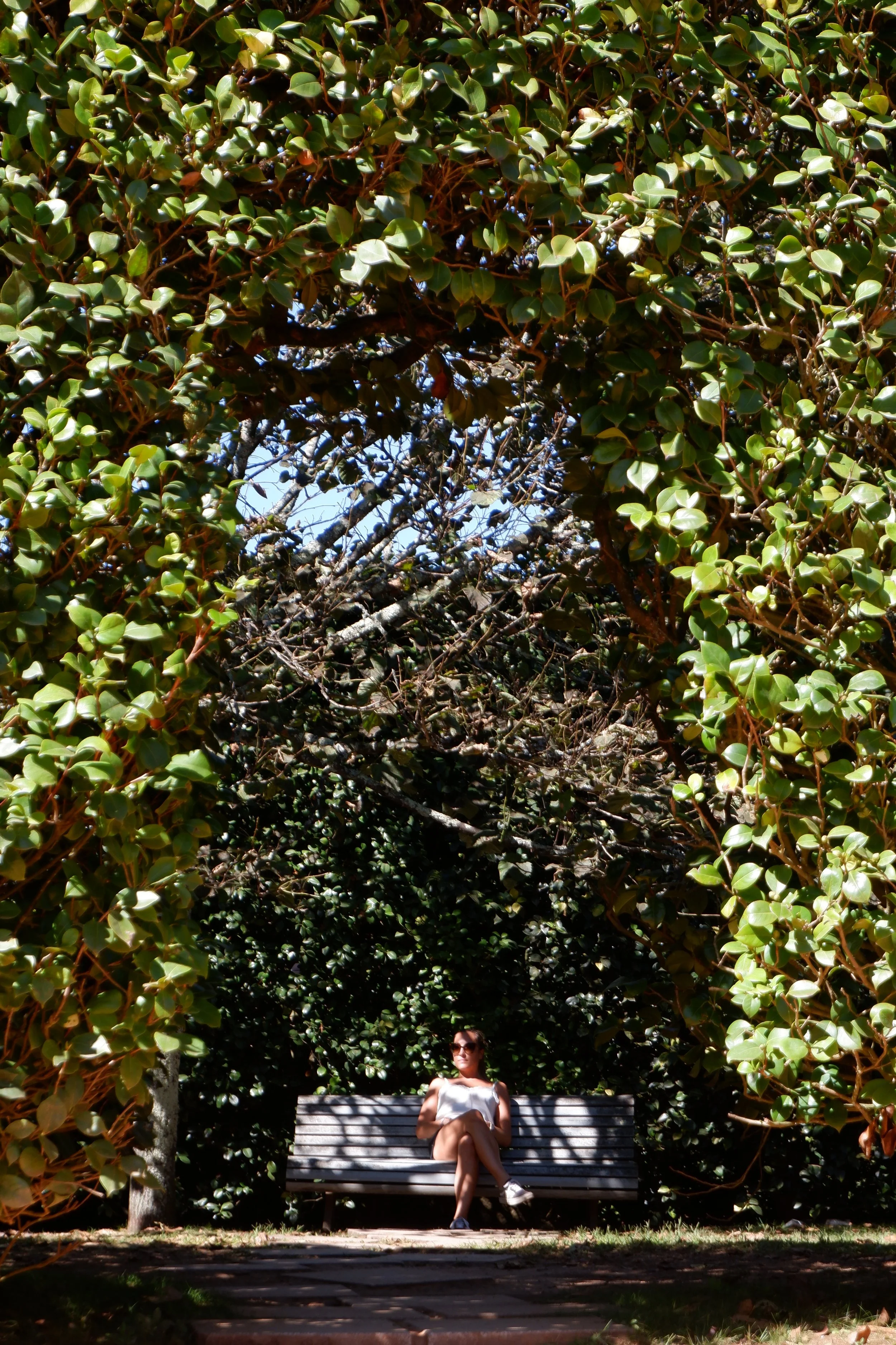 Jeroen Costermans-mens